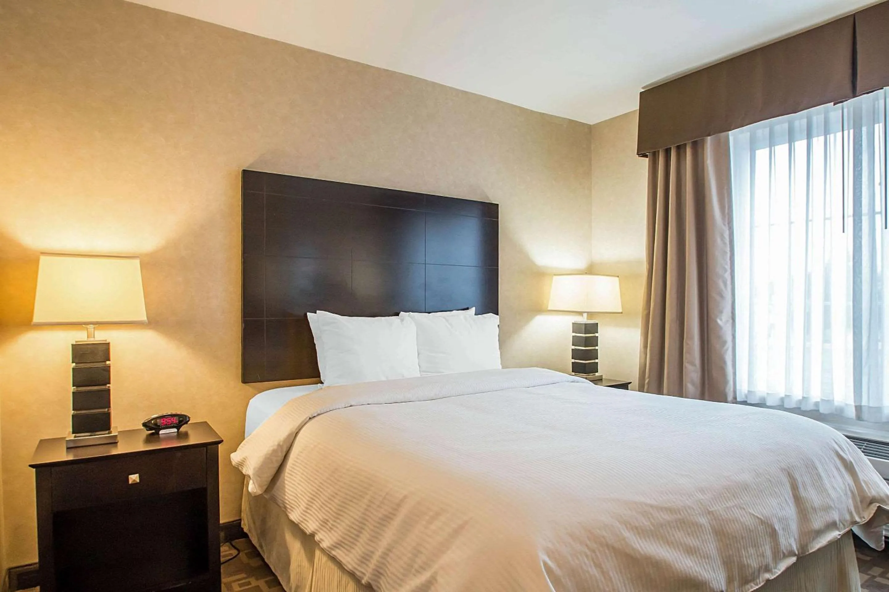 Queen Room - Accessible/Nonsmoking in Clarion Inn Elmhurst - Oak Brook near I-88, I-290, I-294