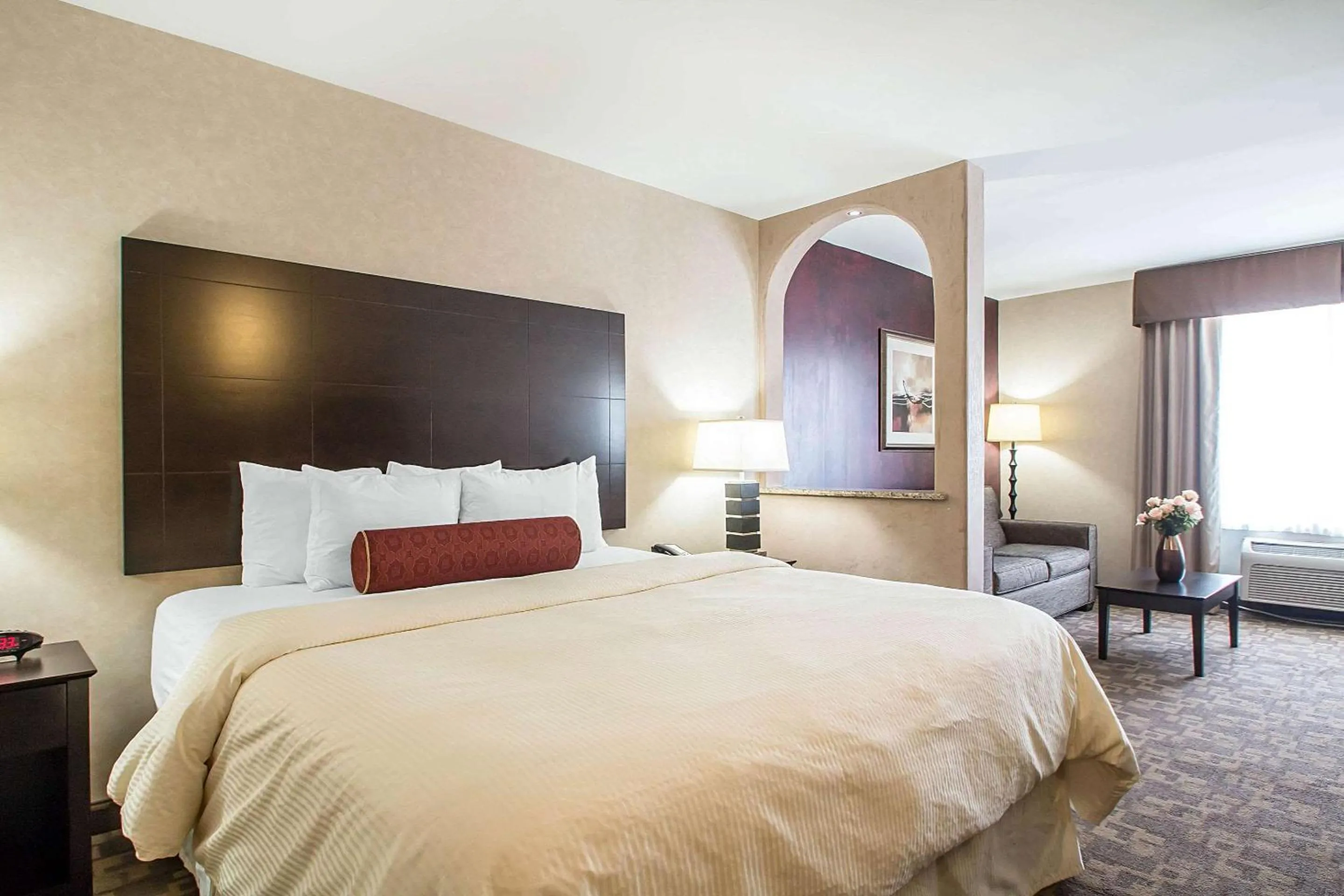 King Suite - Non-Smoking in Clarion Inn Elmhurst - Oak Brook near I-88, I-290, I-294