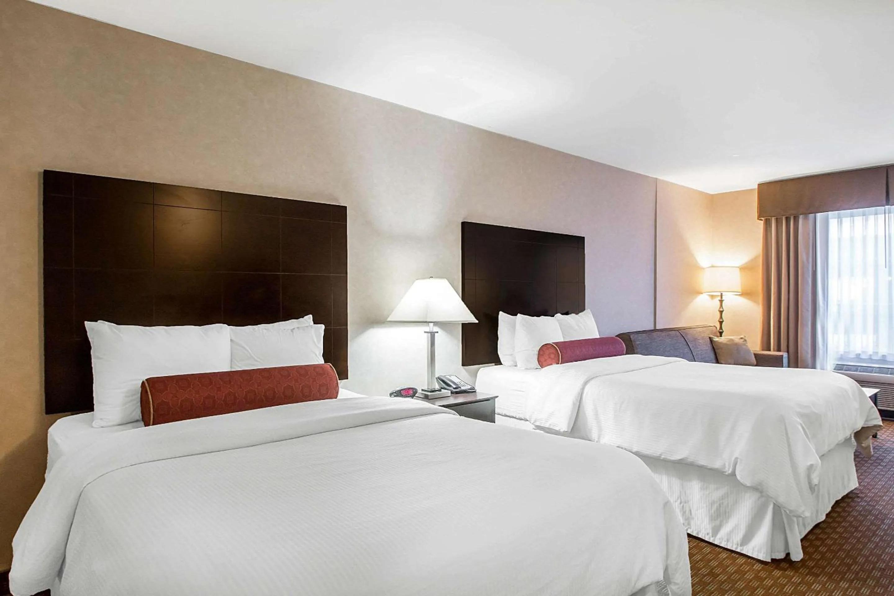 Suite with Two Double Beds - Non-Smoking in Clarion Inn Elmhurst - Oak Brook near I-88, I-290, I-294