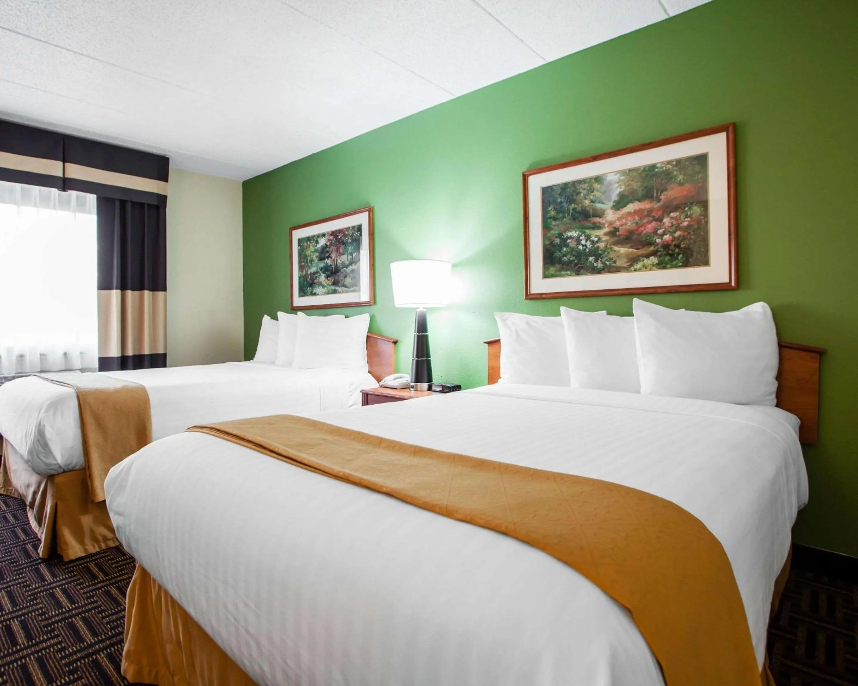 Queen Room with Two Queen Beds - Non-Smoking in Quality Inn Bolingbrook I-55