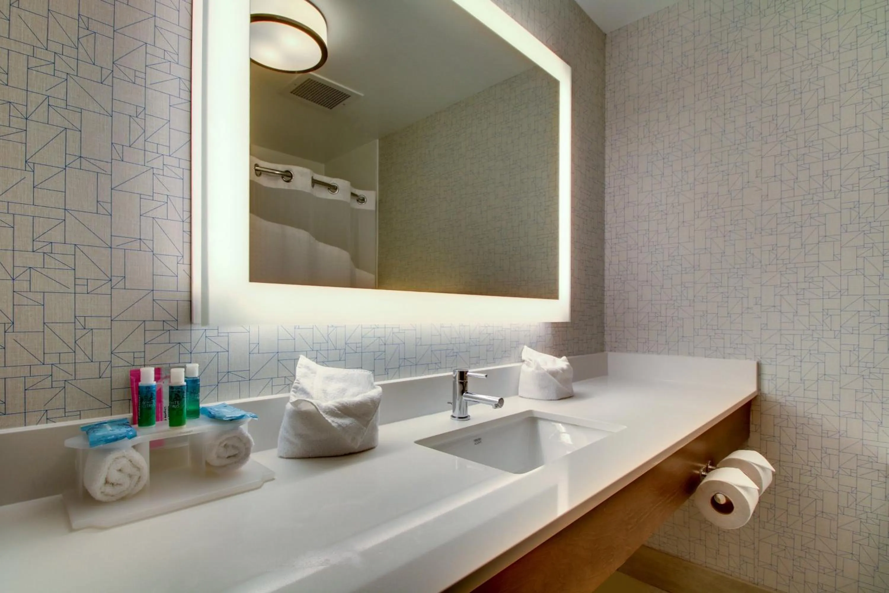 One-Bedroom Suite with Jetted Tub in Holiday Inn Express & Suites Aurora - Naperville by IHG