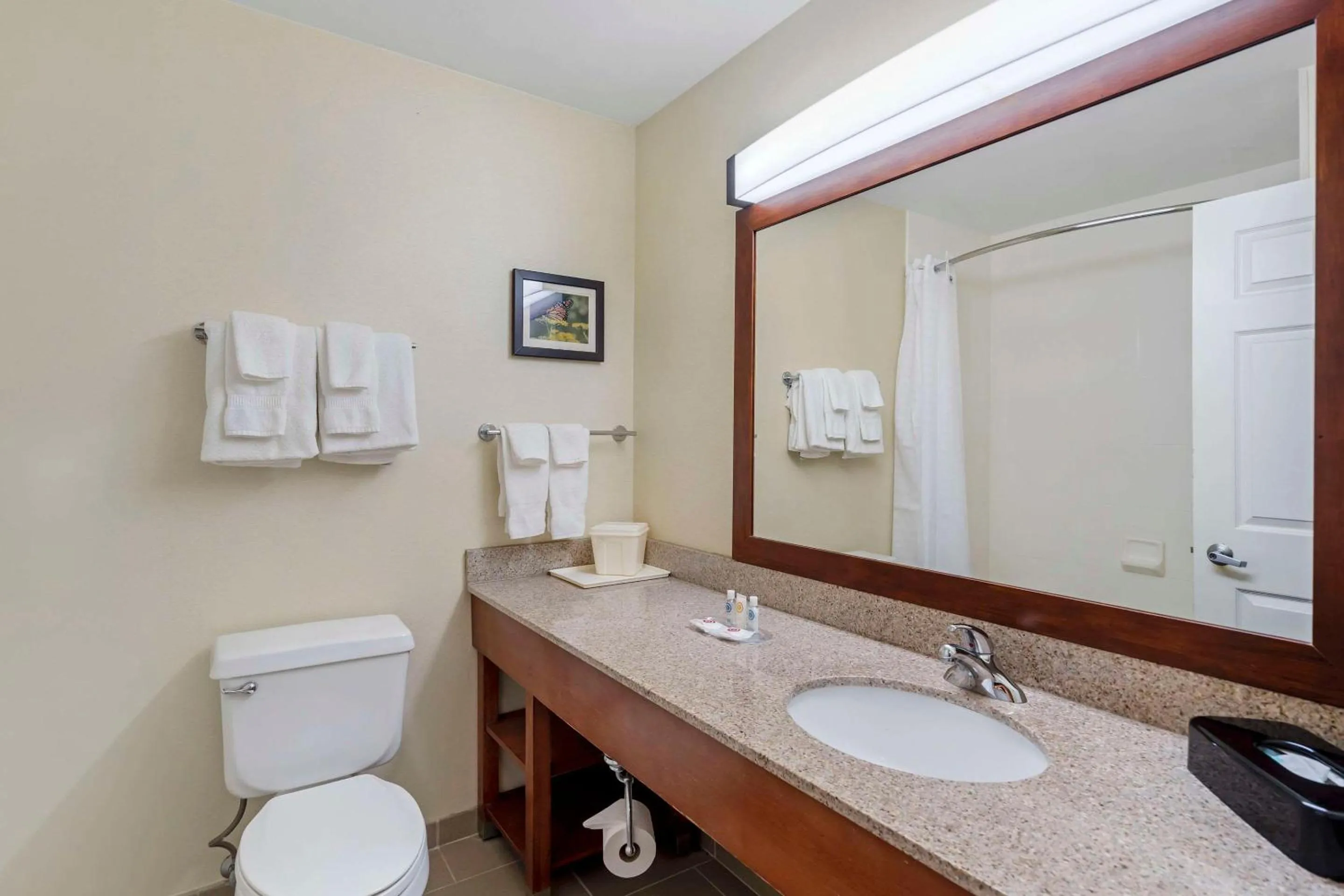 King Suite - Non-Smoking in Comfort Suites Normal University area