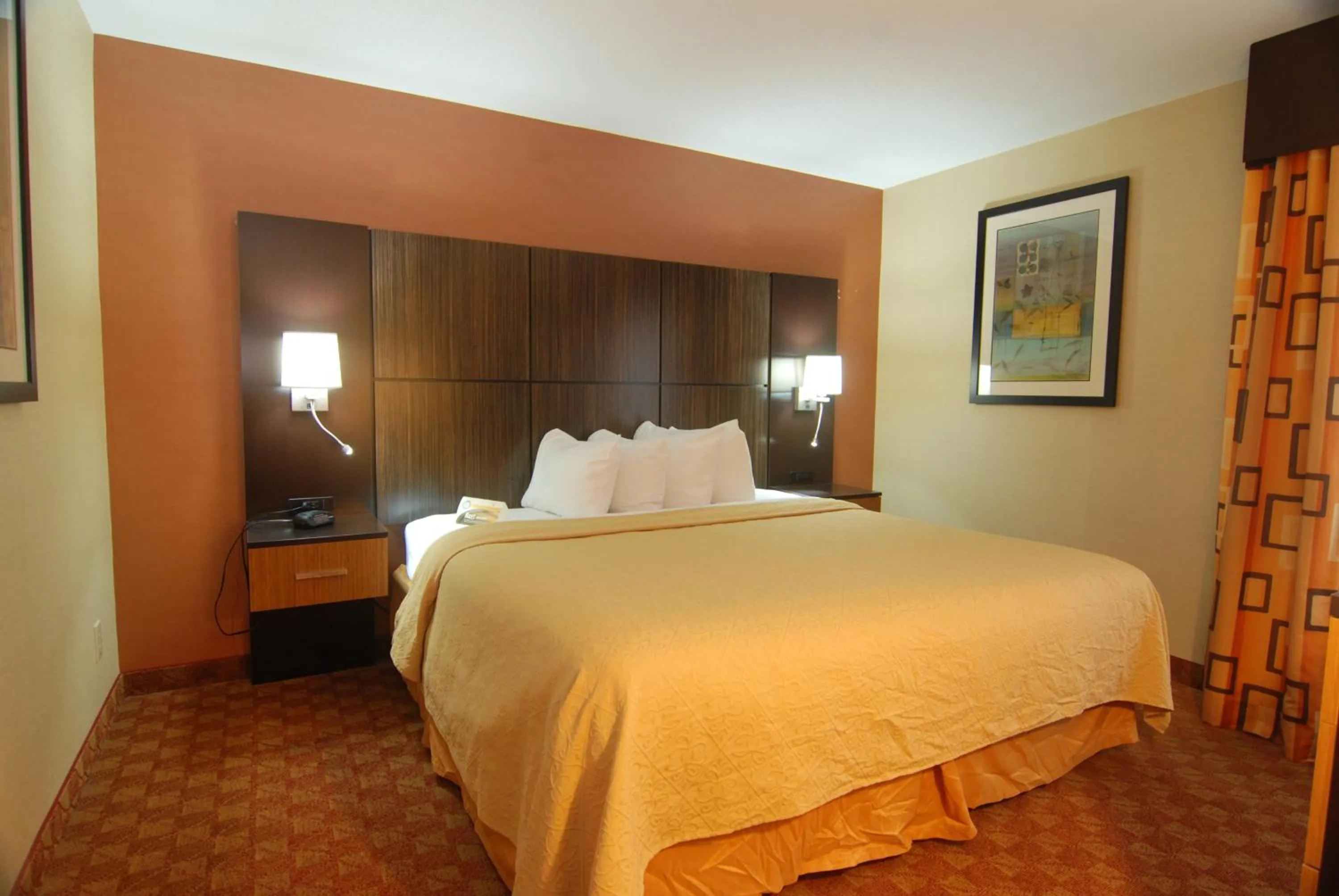 King Suite - Accessible/Non-Smoking in Quality Inn Franklin I-65