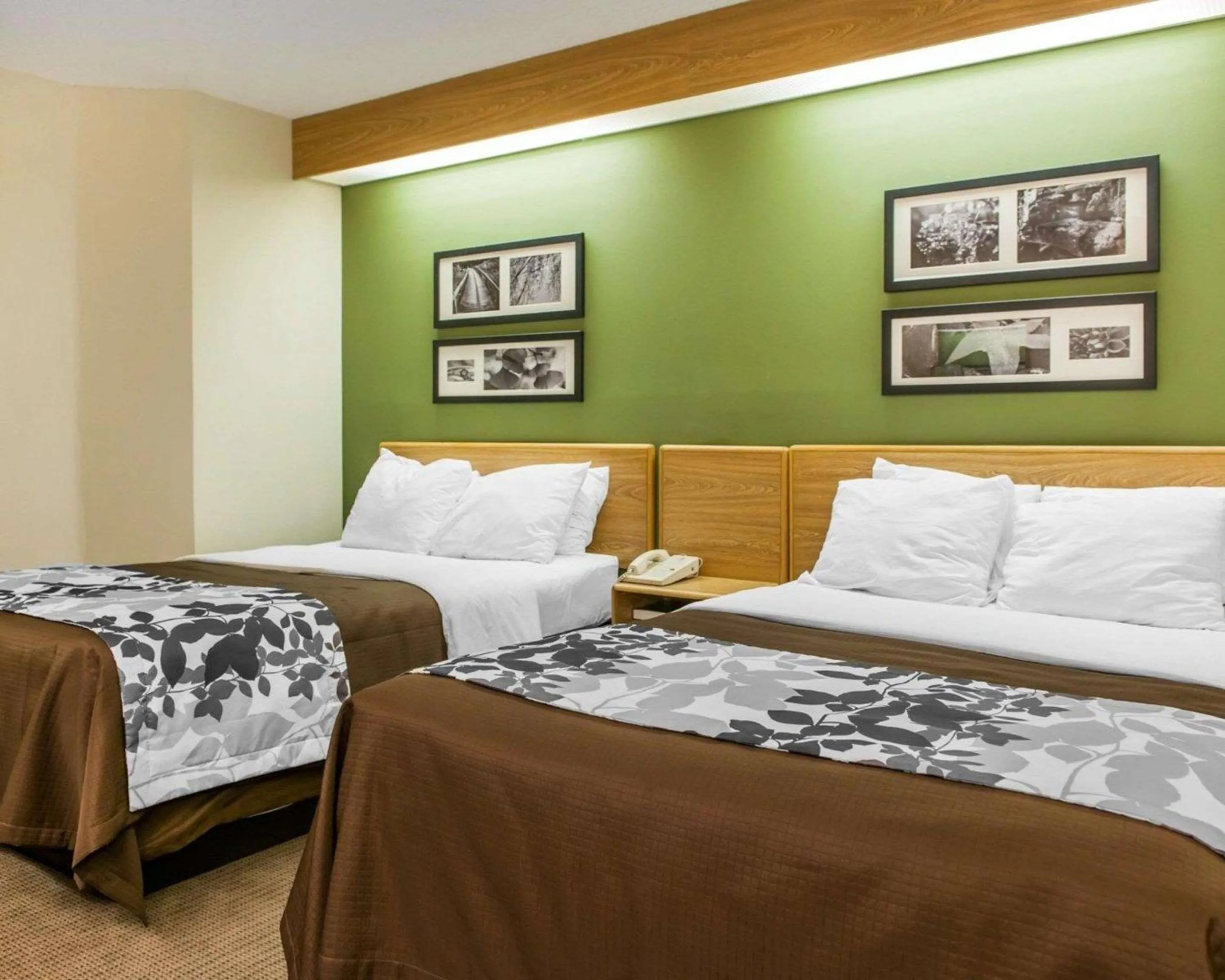 Double Room with Two Double Beds - Non-Smoking in Sleep Inn Elkhart North