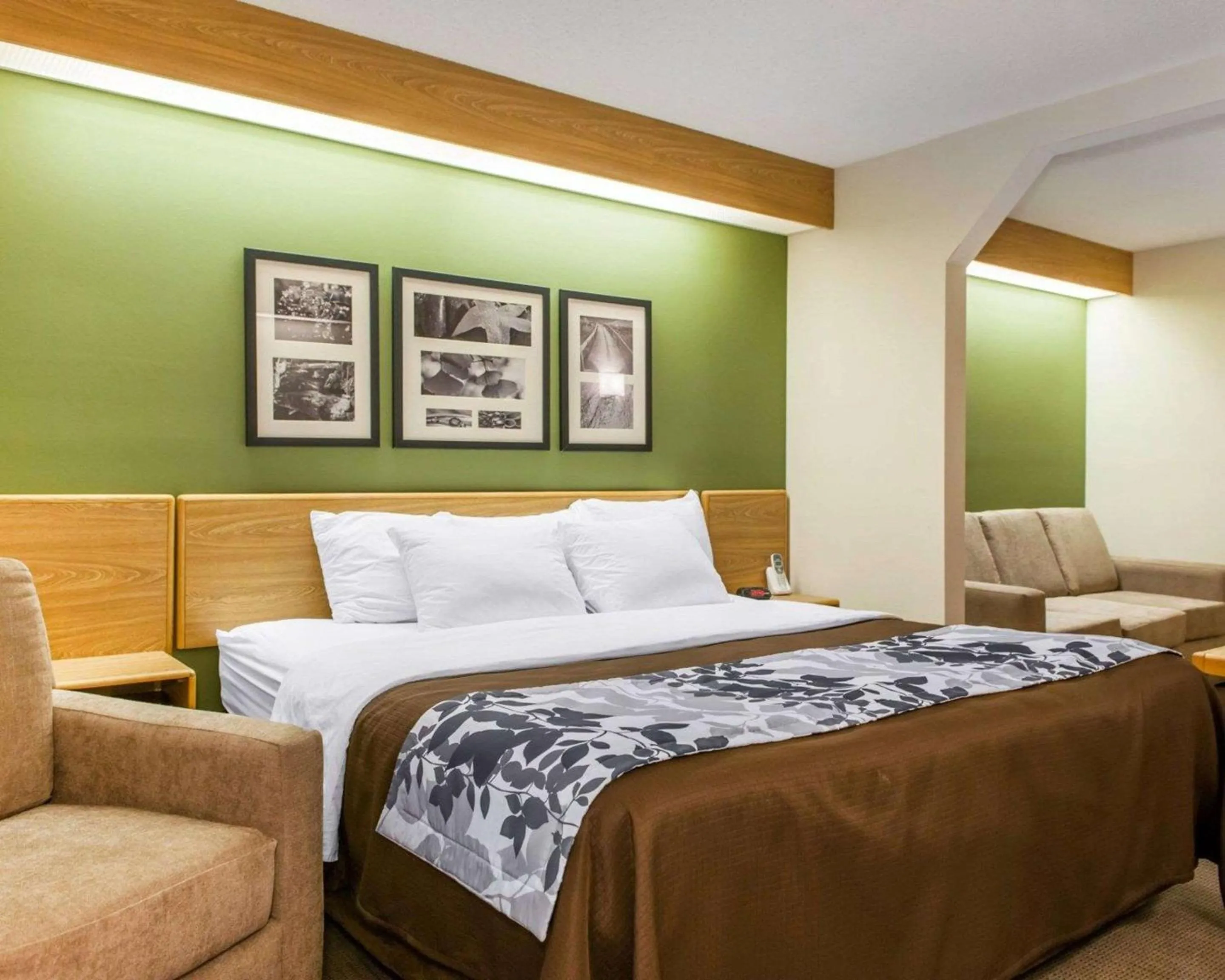 King Suite - Non-Smoking in Sleep Inn Elkhart North