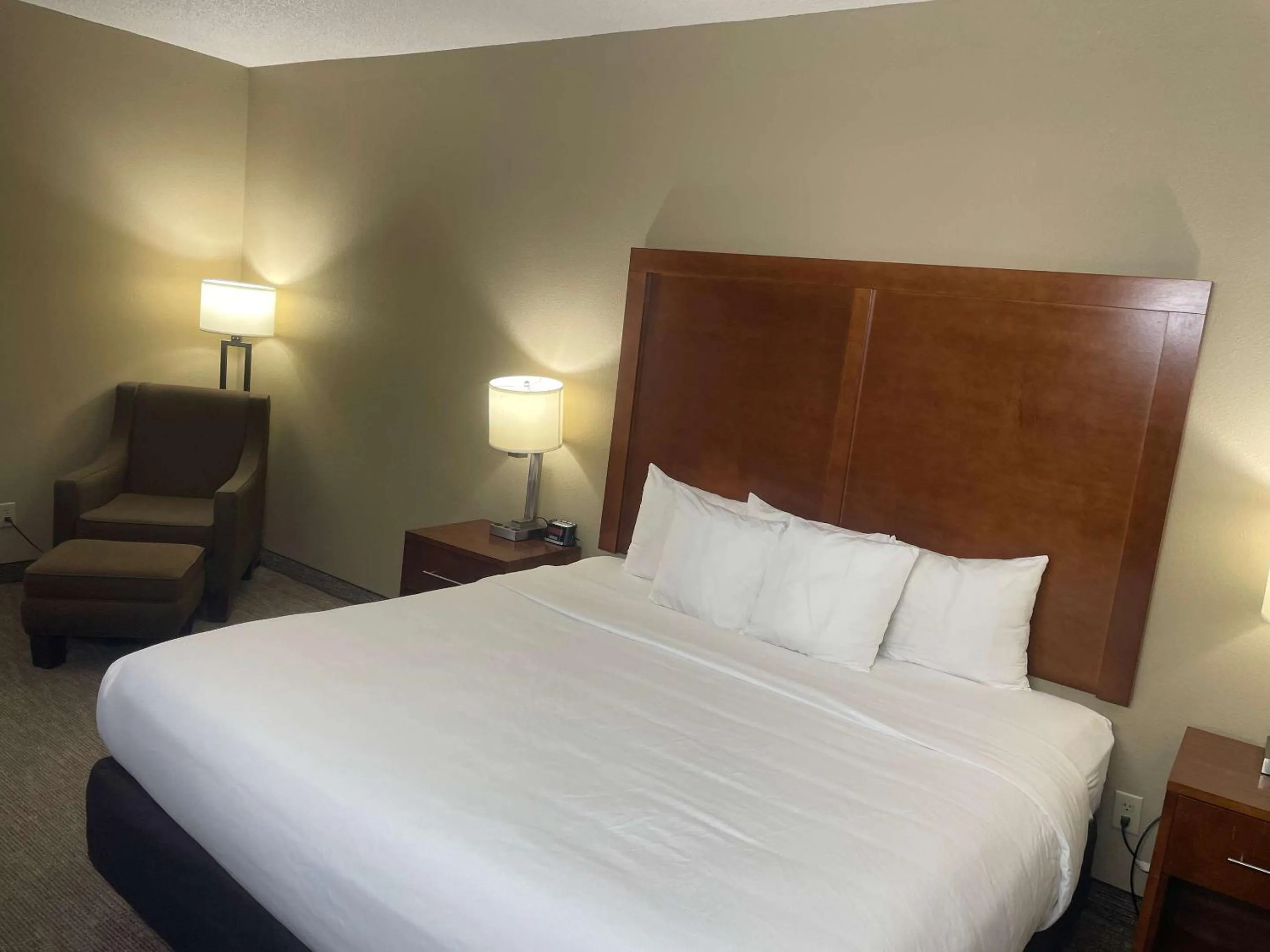 King Room in Comfort Inn Ottawa