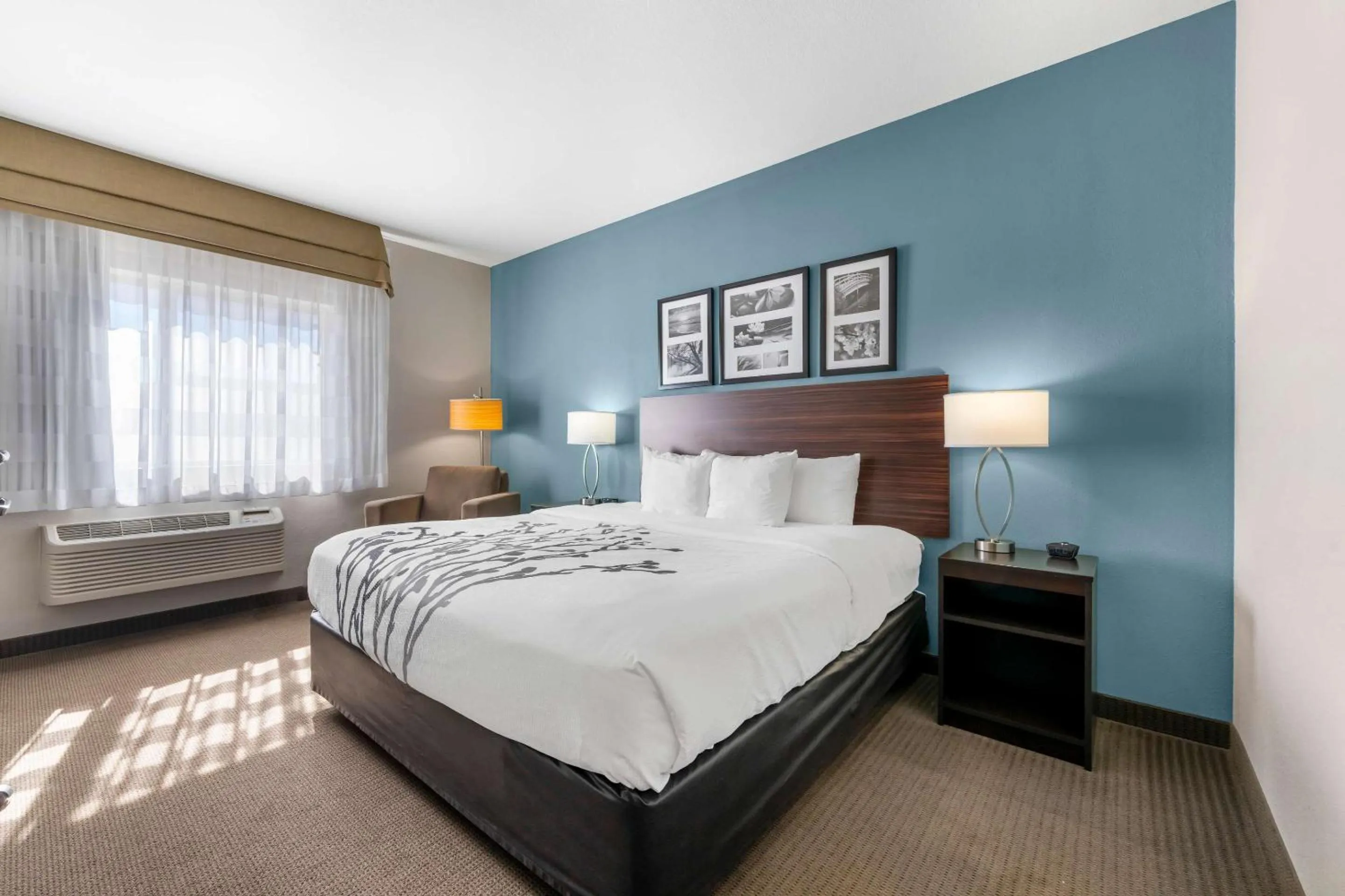 King Room Mobility and Hearing Accessible -  Accessible/Non-Smoking in Sleep Inn & Suites Hays I-70