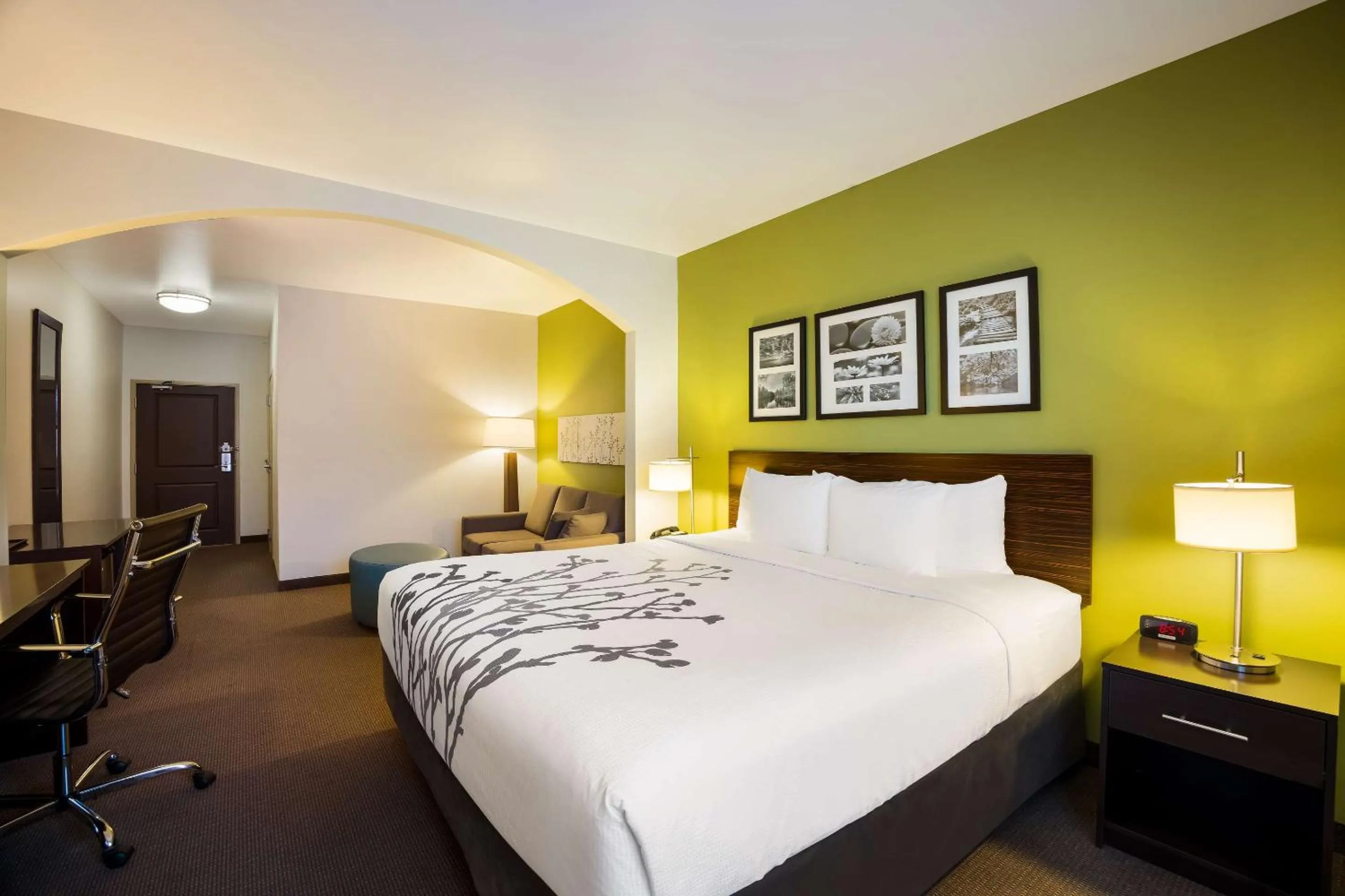 King Suite with Sofa Bed - Disability Access/Non-Smoking in Sleep Inn & Suites Colby