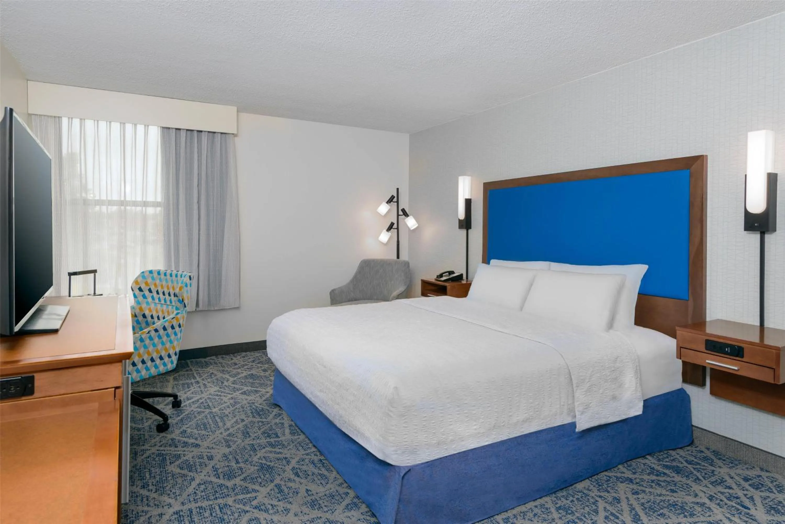 King Room with Roll-In Shower - Mobility and Hearing Access/Non-Smoking in Hampton Inn Buffalo-Airport Galleria Mall