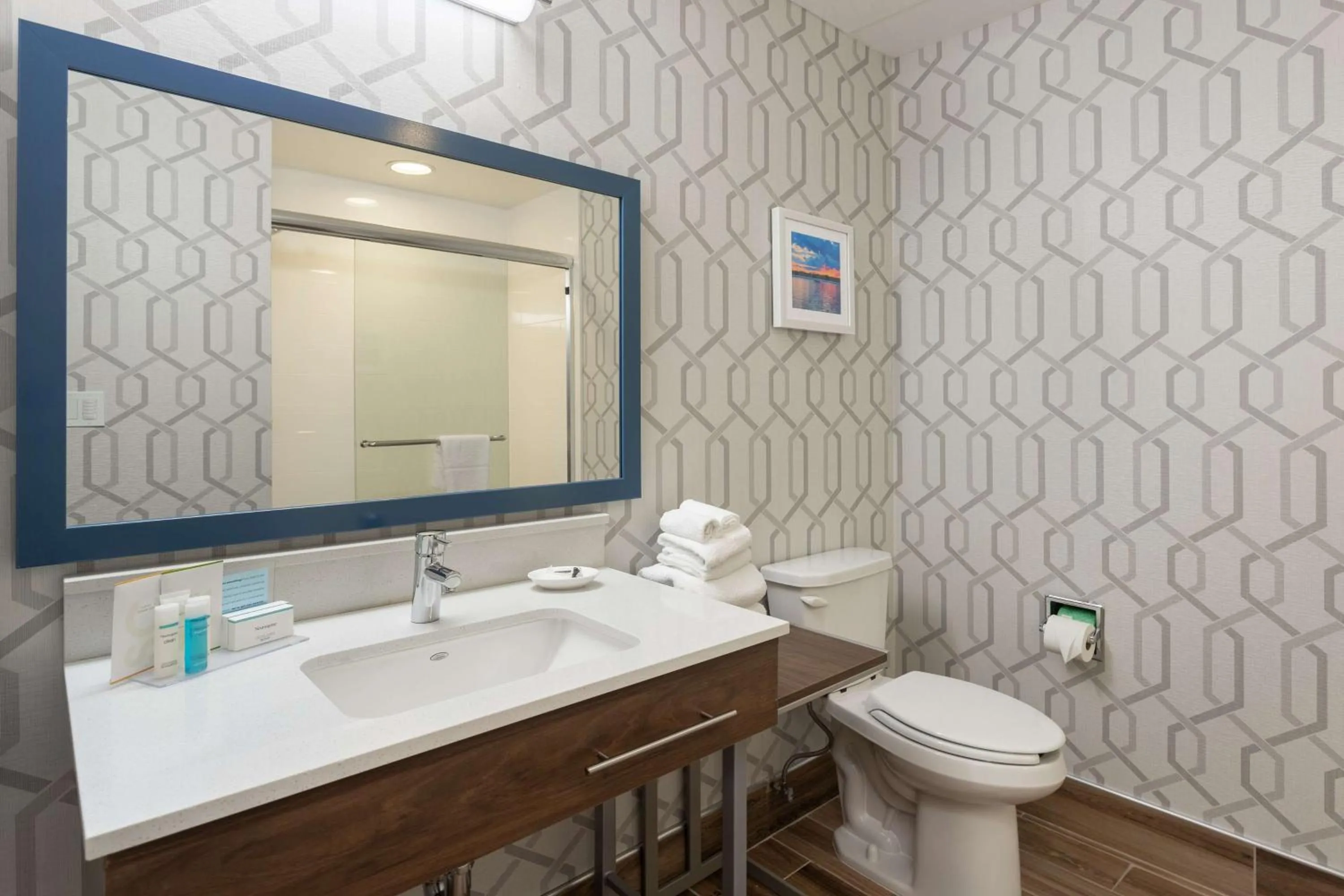 King Room - Mobility Access/Non-Smoking in Hampton Inn Buffalo-South/I-90