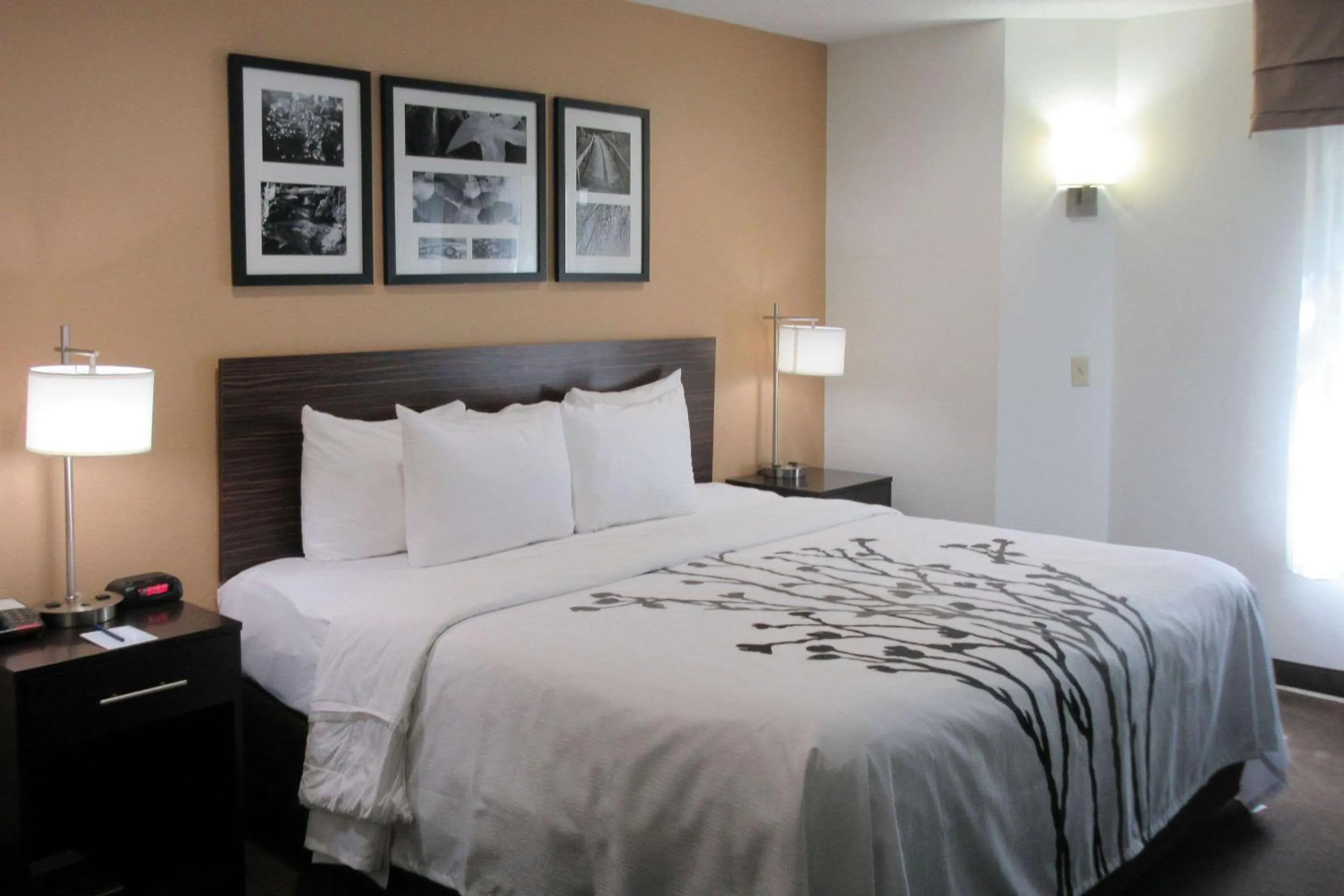 King Room - Non-Smoking in Sleep Inn