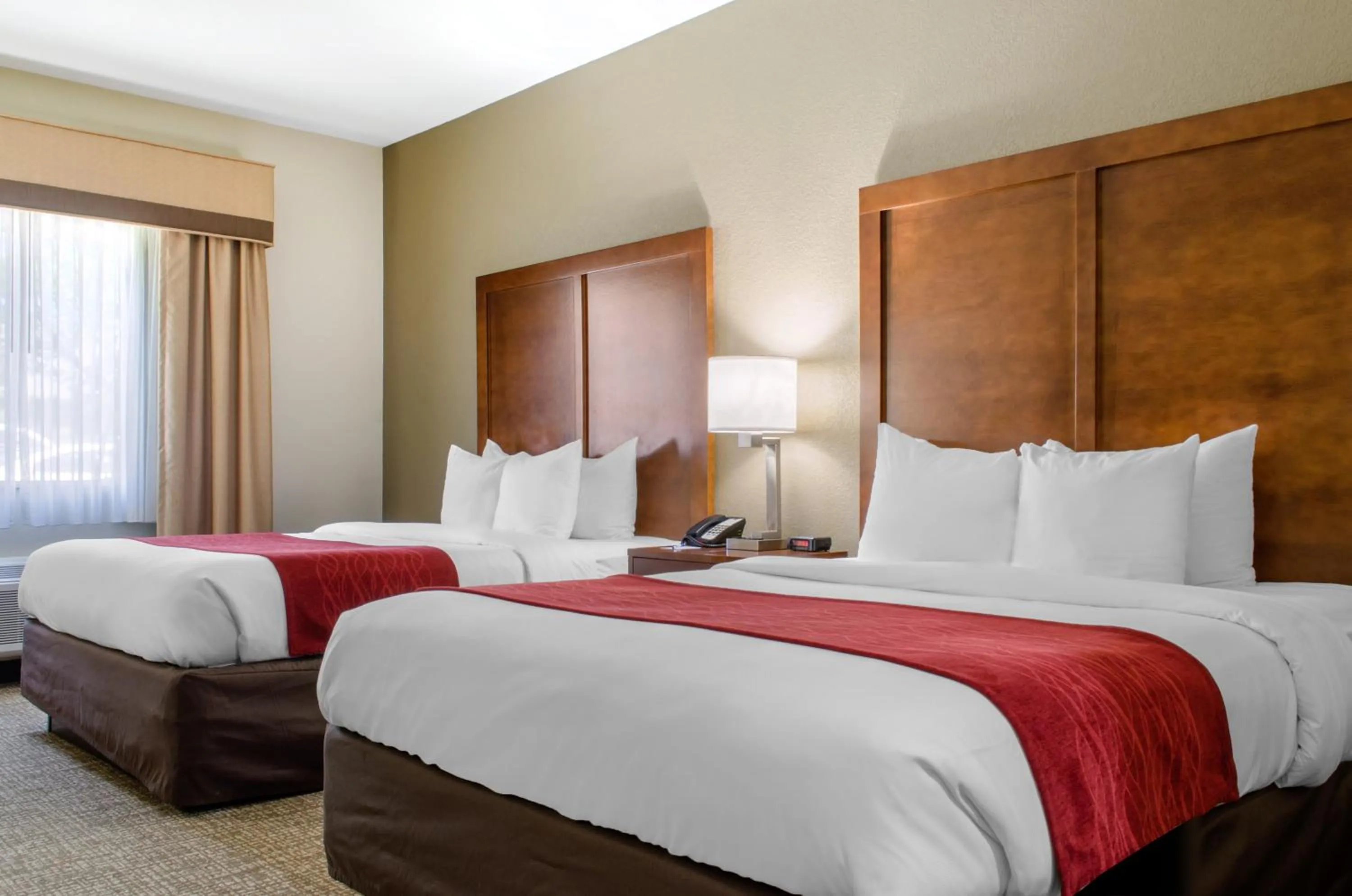 Queen Room with Two Queen Beds - Accessible/Non-Smoking  in Comfort Inn & Suites Covington - Mandeville