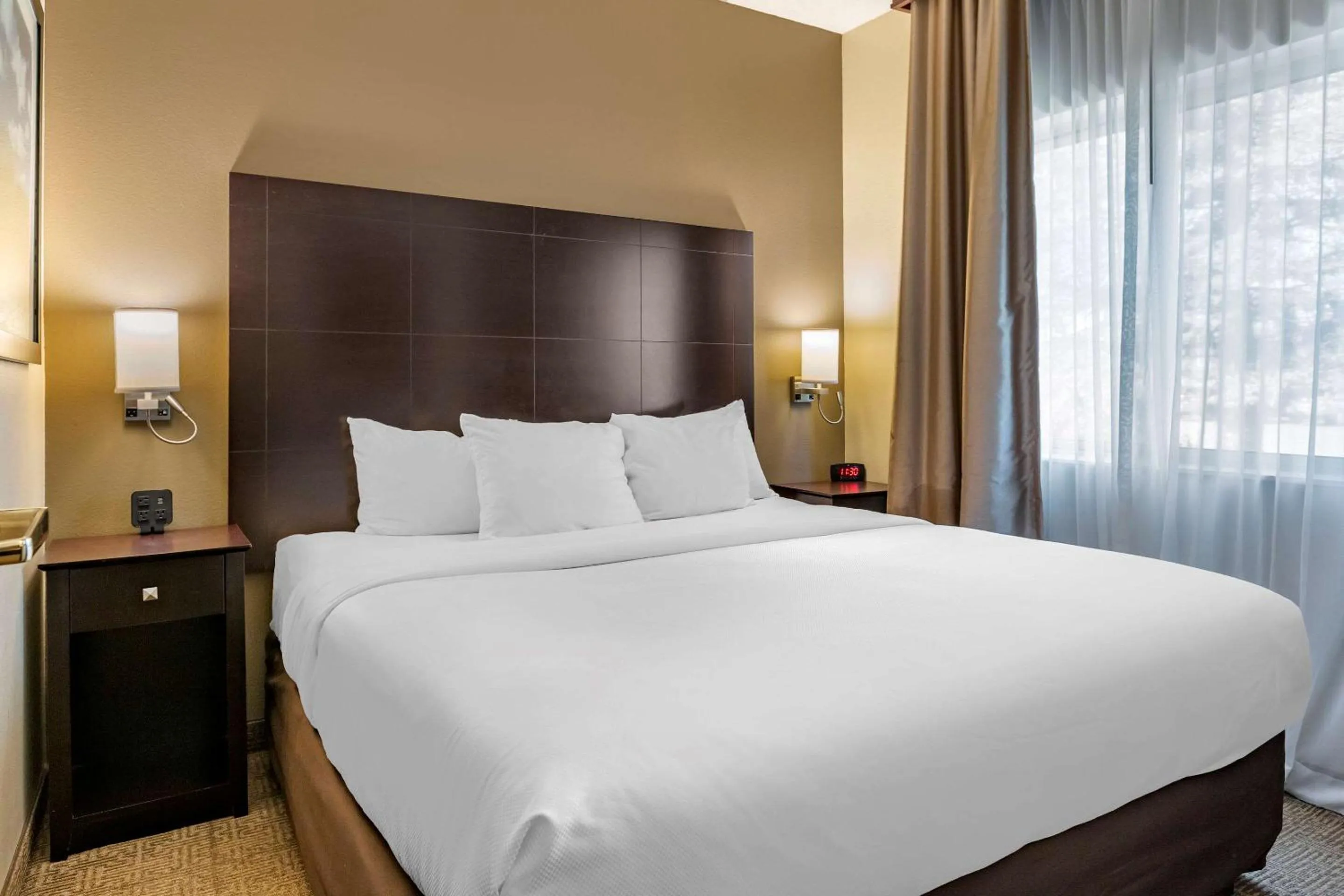 Queen Suite Efficiency Accessible Bathtub - Non Smoking in Comfort Inn & Suites Paw Paw