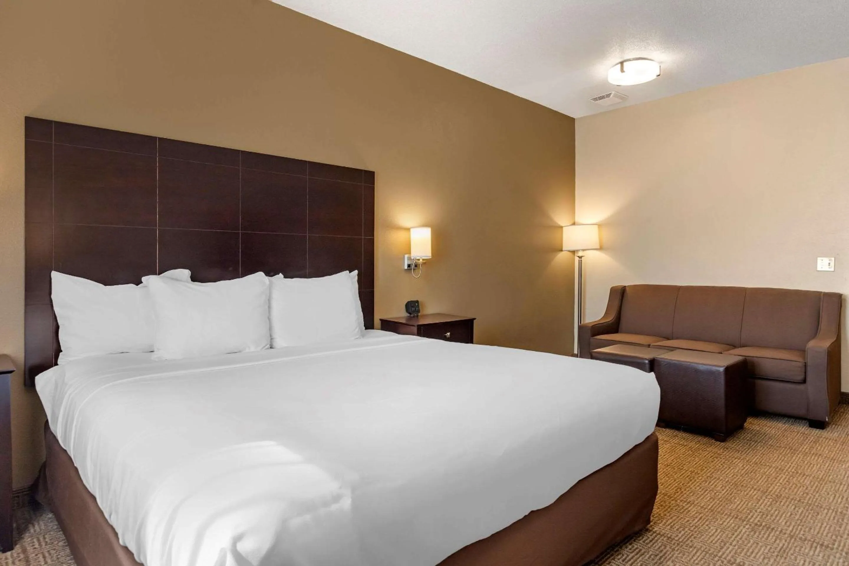 King Room with Roll-In Shower - Accessible/Non-Smoking in Comfort Inn & Suites Paw Paw