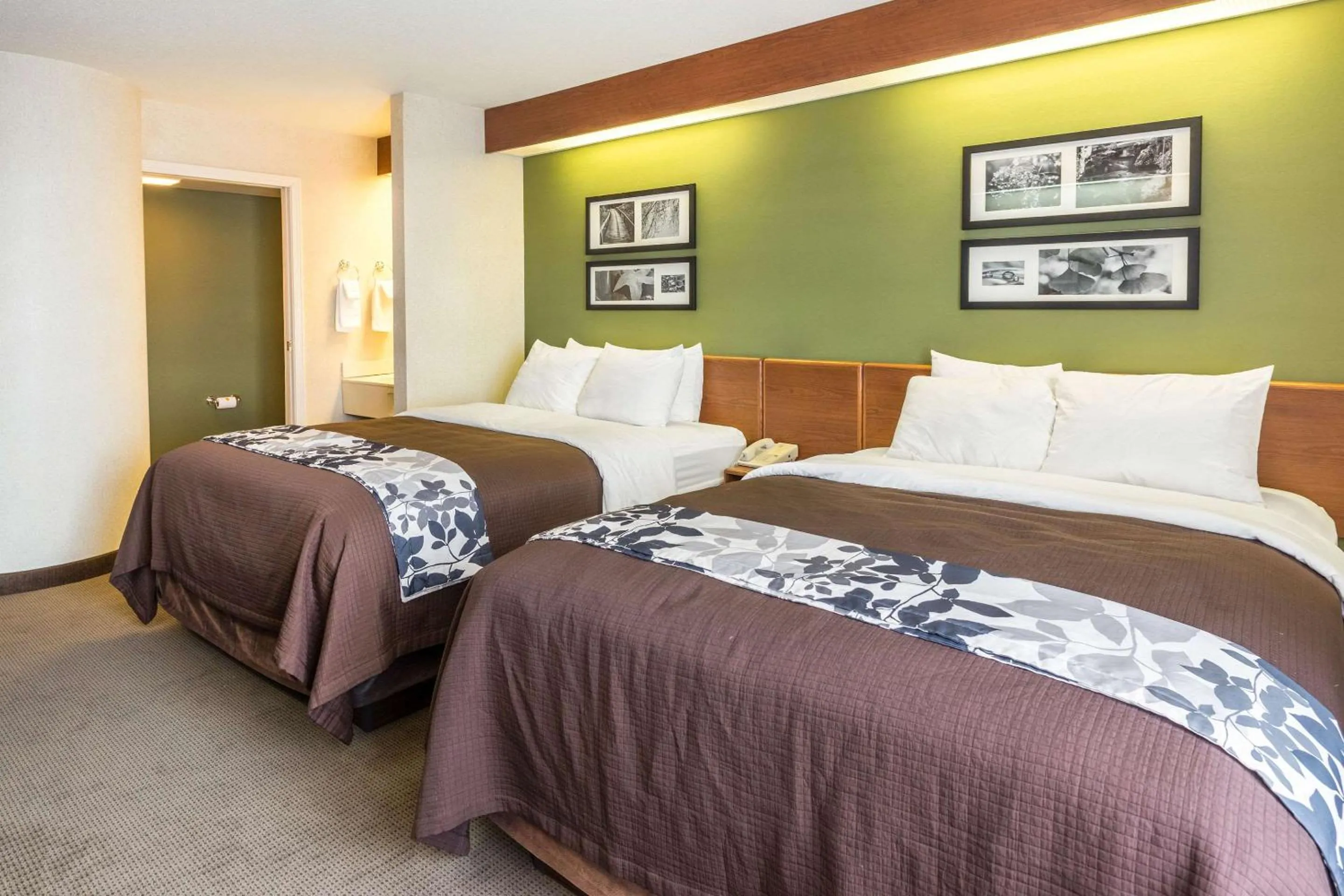 Queen Room with Two Queen Beds in Sleep Inn & Suites Bay View Acme - Traverse City