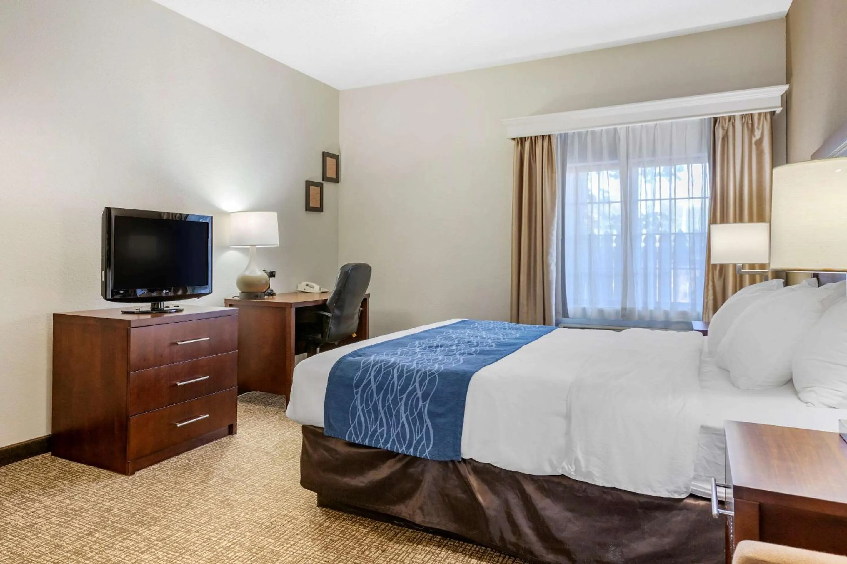 King Room - Non-Smoking in Comfort Inn Downtown - University Area