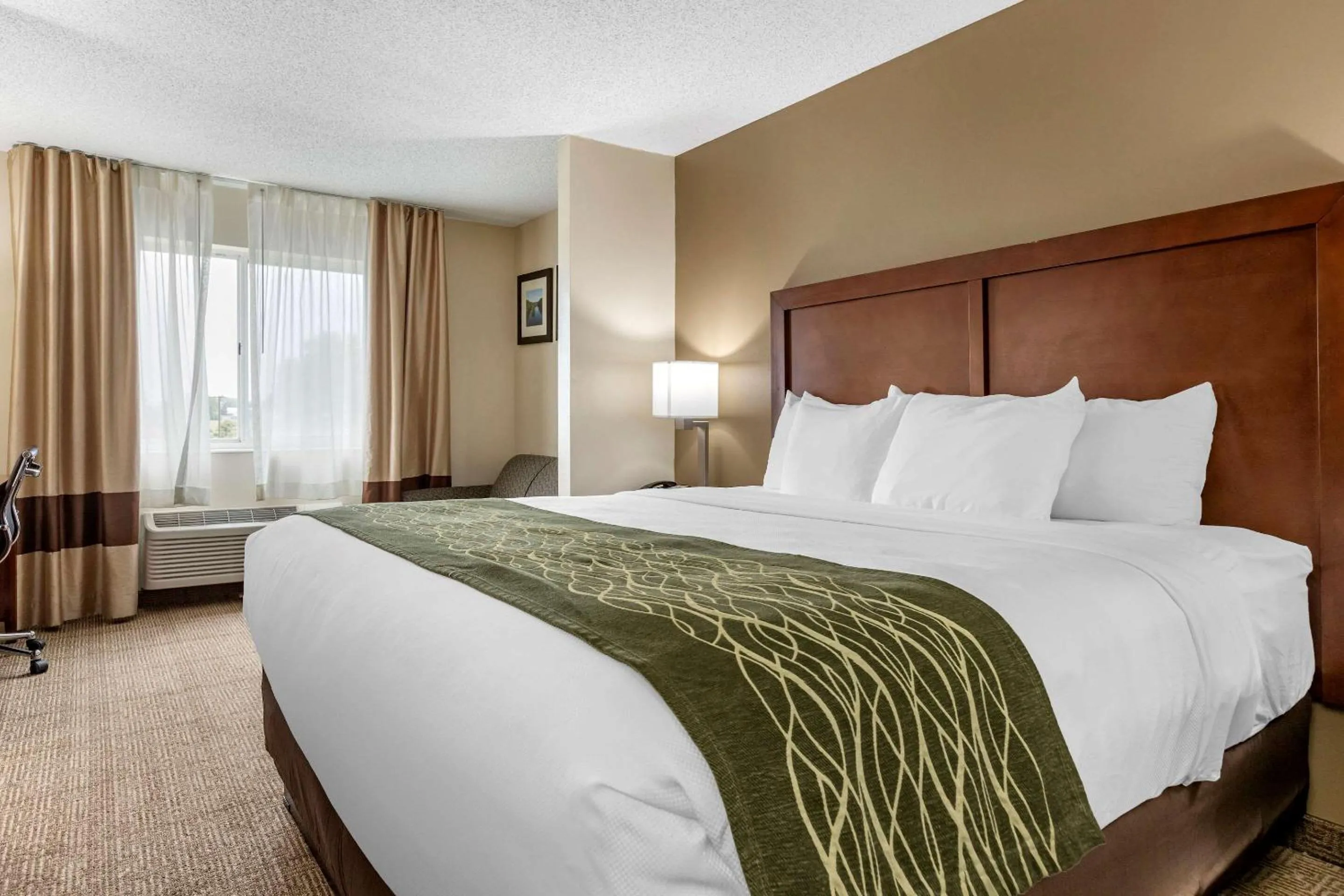 King Suite - Non-Smoking in Comfort Inn & Suites Dimondale - Lansing