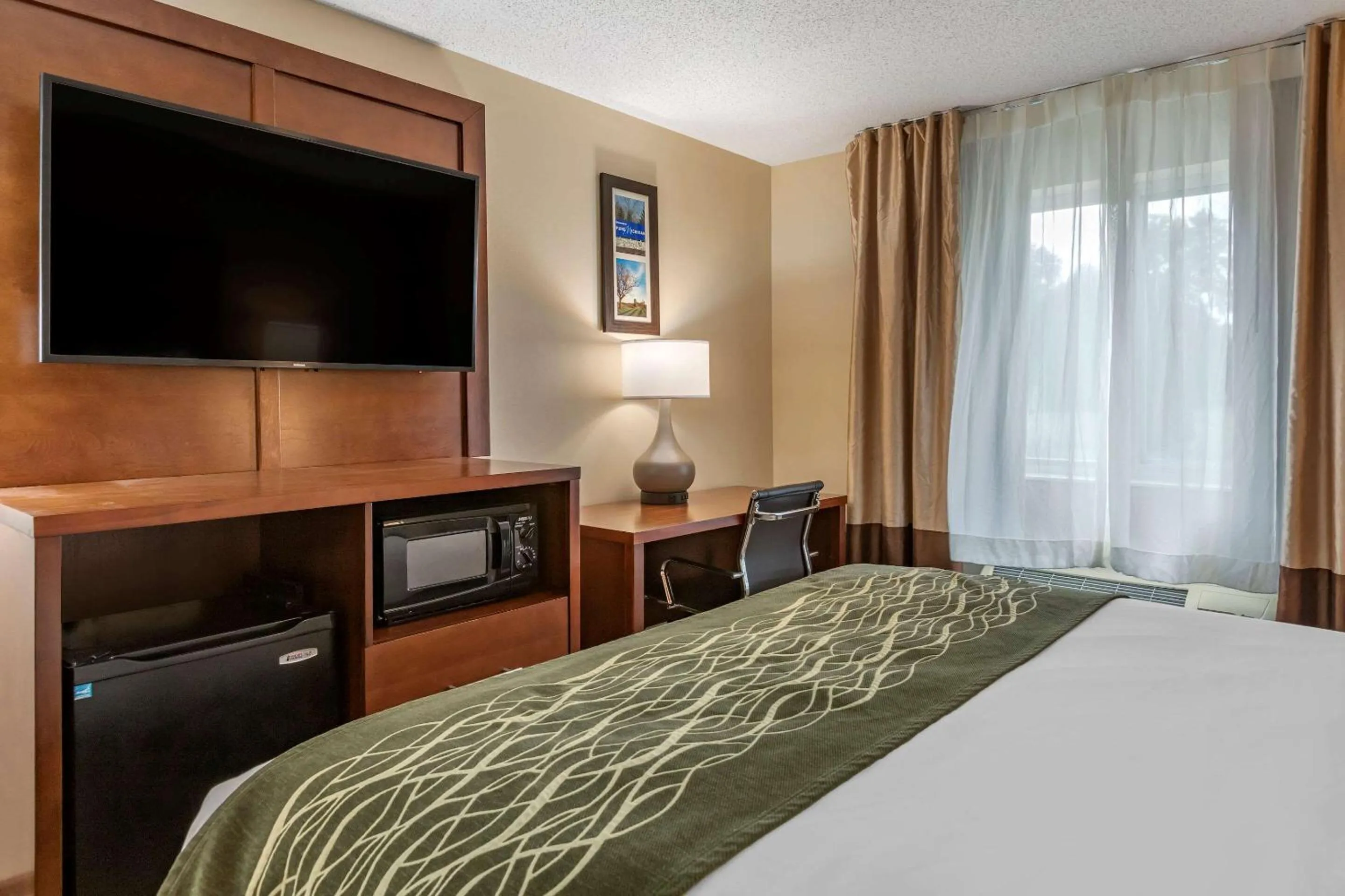 Queen Room - Accessible/Non-Smoking in Comfort Inn & Suites Dimondale - Lansing
