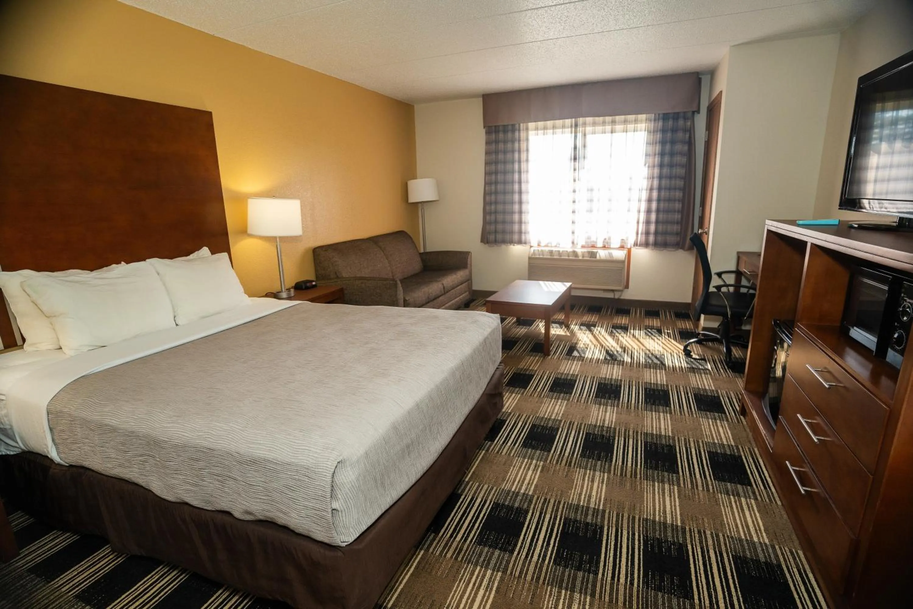 King Room - Non-Smoking in Quality Inn near Medical Center