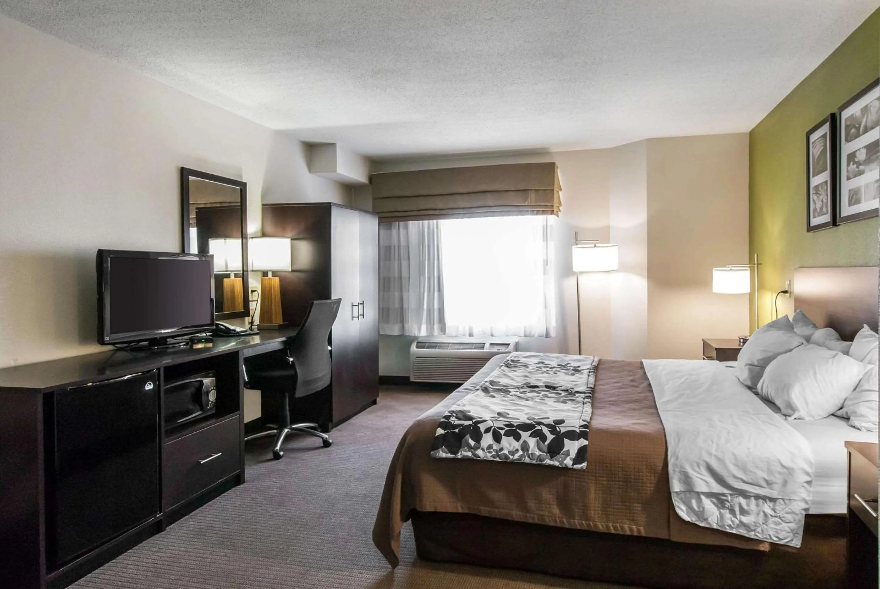 King Room - Accessible/Non-Smoking in Sleep Inn