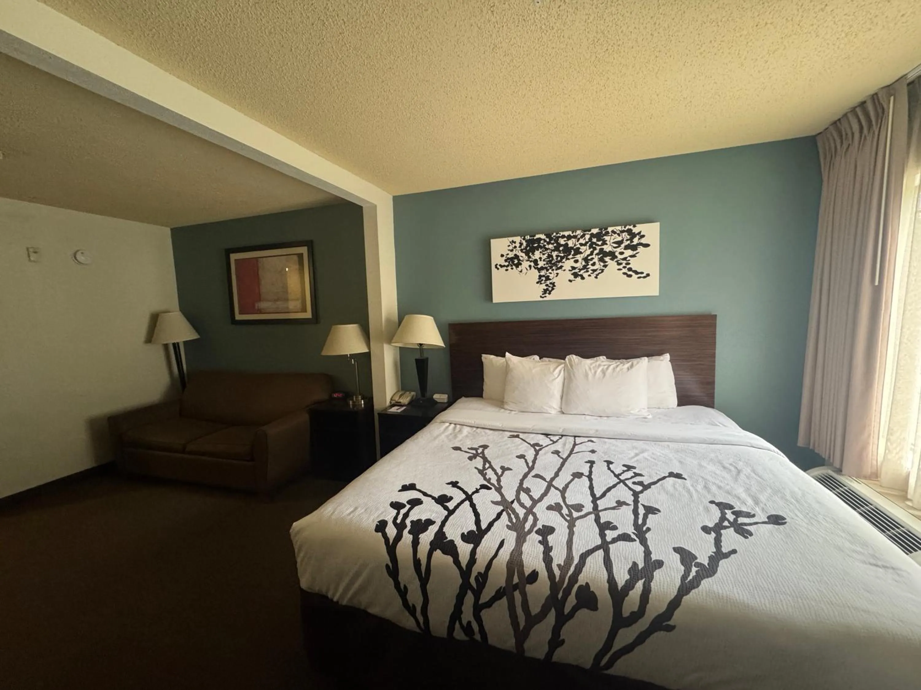 King Suite with Sofa Bed - Non Smoking in Sleep Inn & Suites Hattiesburg North