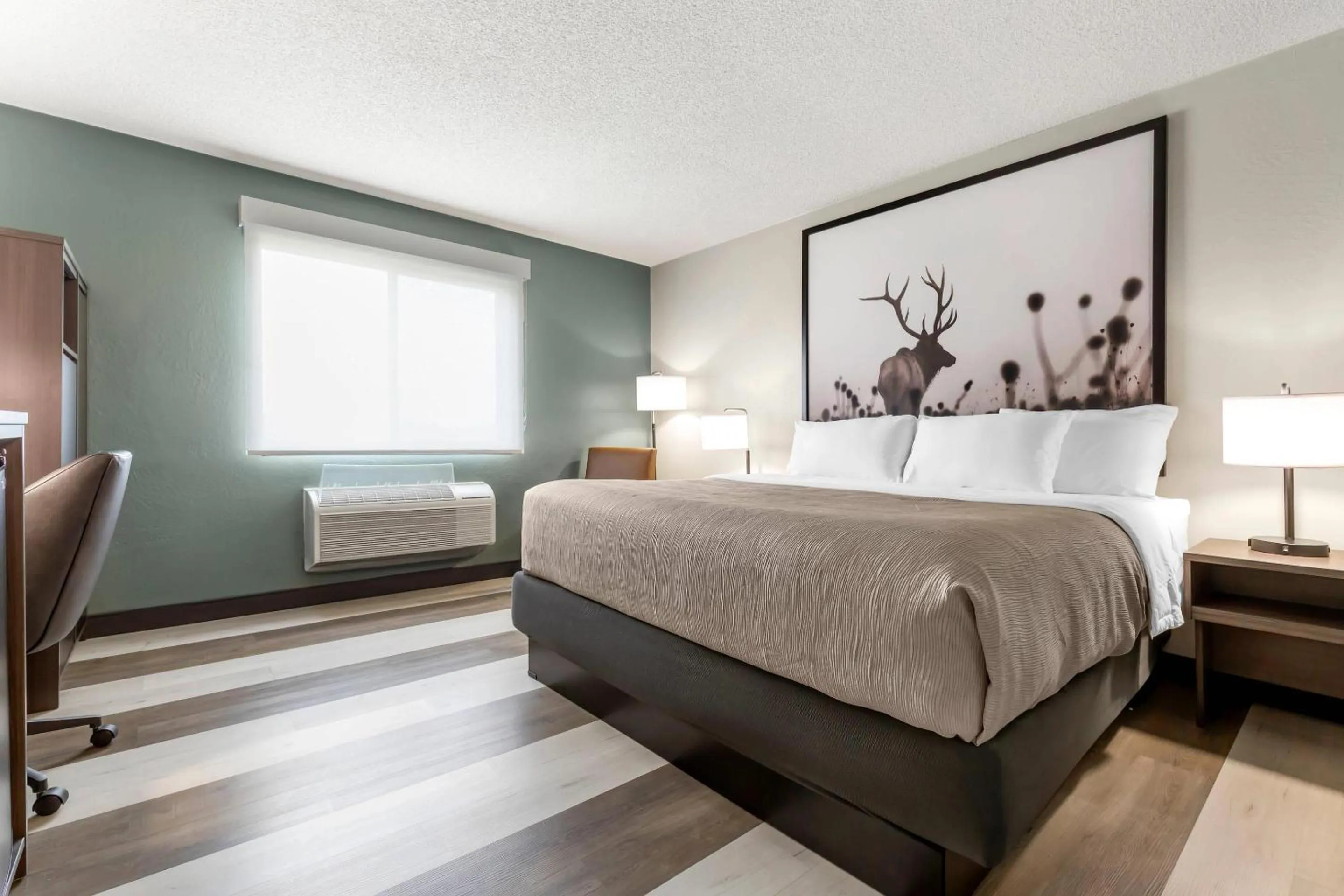 King Room - Non-Smoking in Quality Inn Dillon I-15