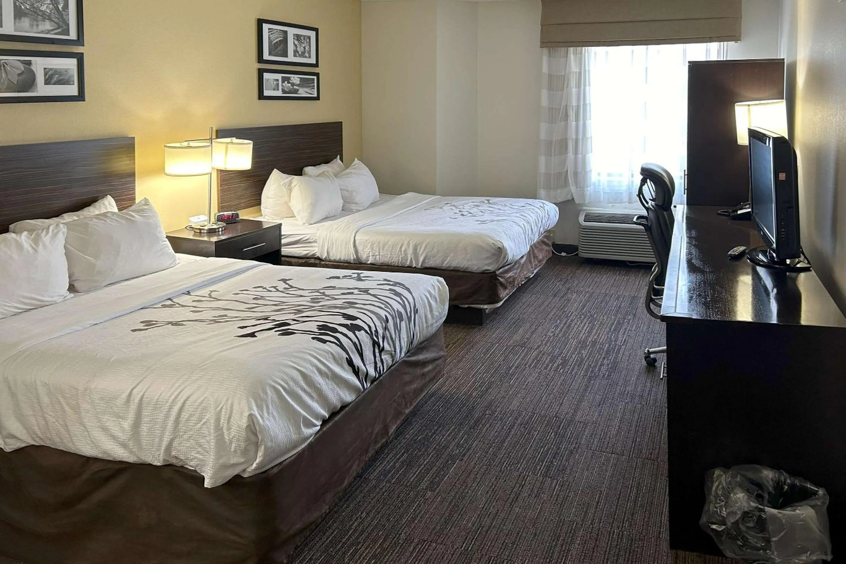 Queen Room with Two Queen Beds in Sleep Inn Wilson near I-95