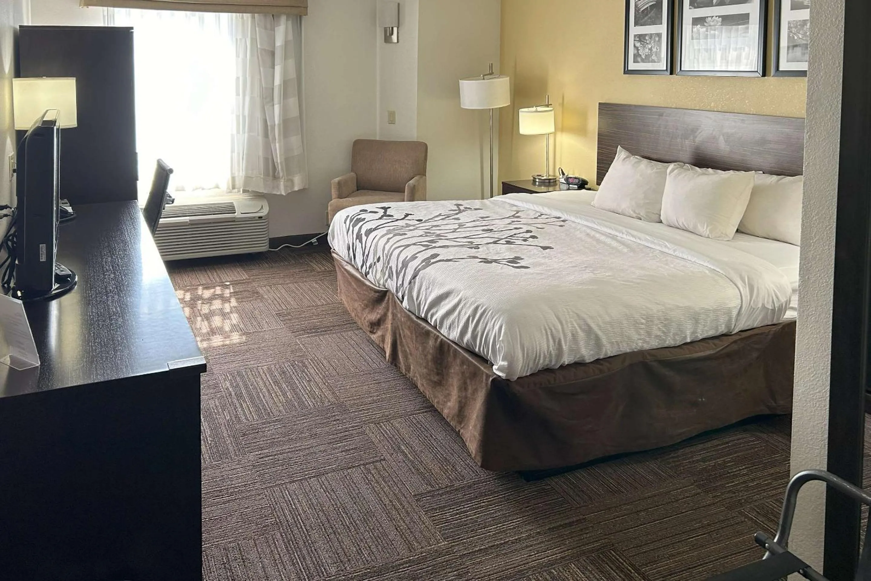 King Room - Non-Smoking in Sleep Inn Wilson near I-95