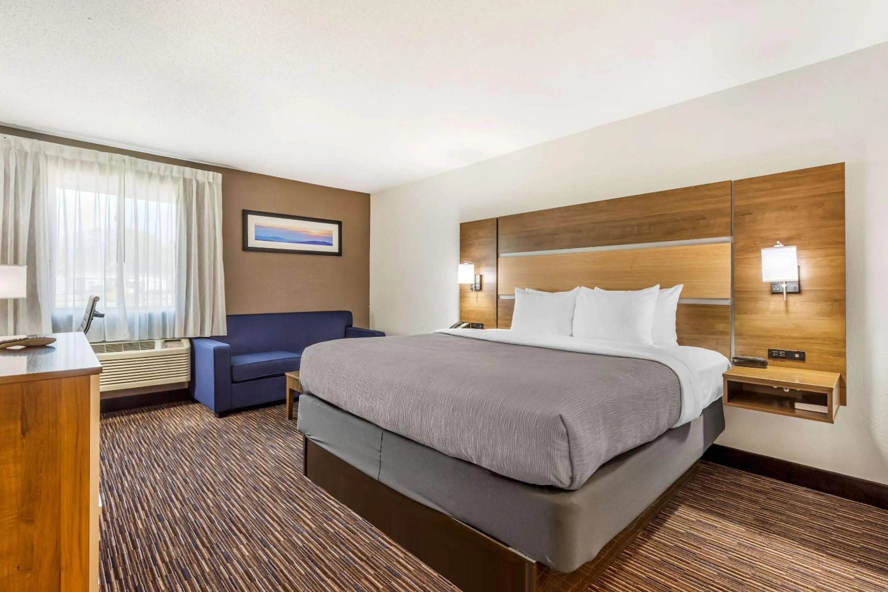 King Room - Disability Access/Non-Smoking in Quality Inn Asheboro South
