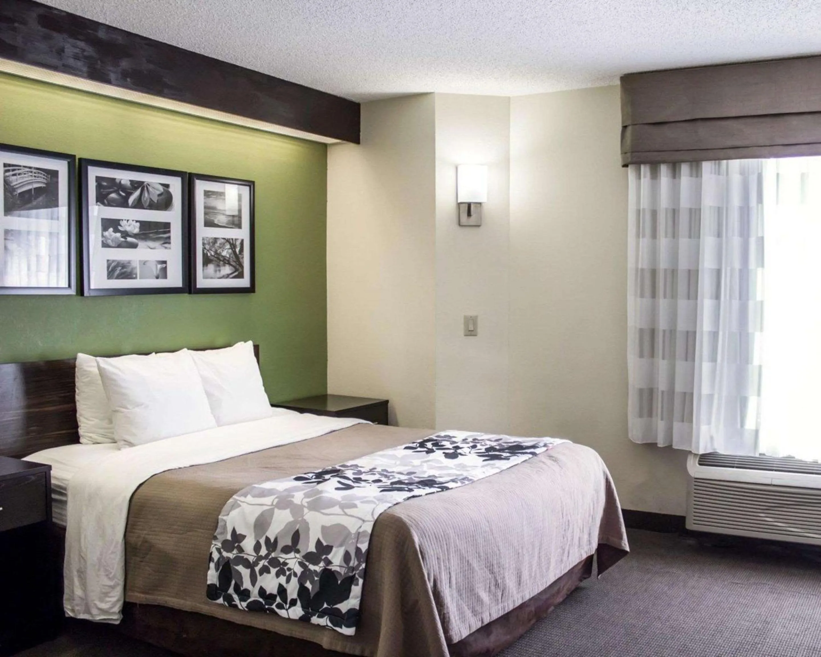 Queen Room - Non-Smoking in Sleep Inn Garner - Clayton