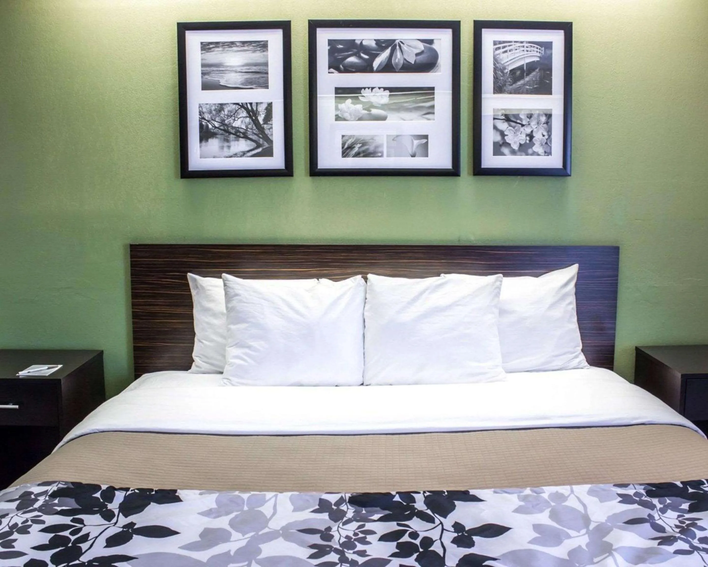 King Room - Non-Smoking in Sleep Inn Garner - Clayton