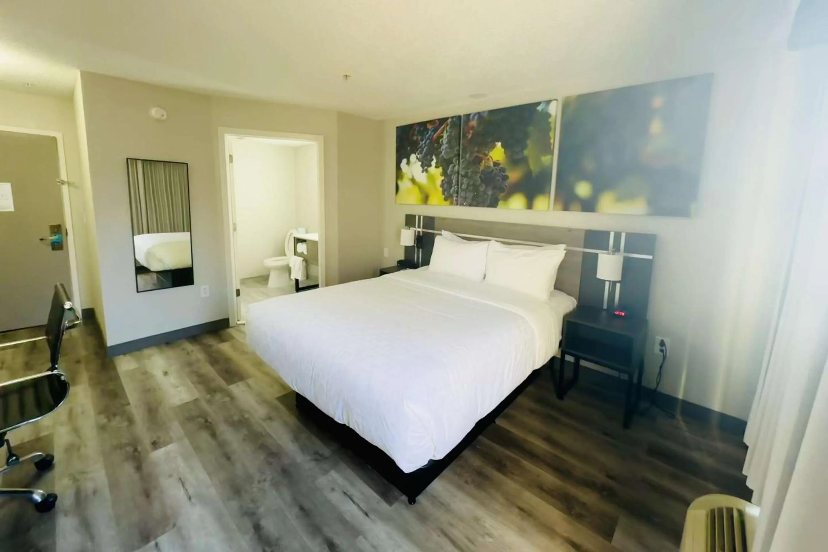 Queen Room - Non-Smoking in Clarion Pointe Albemarle