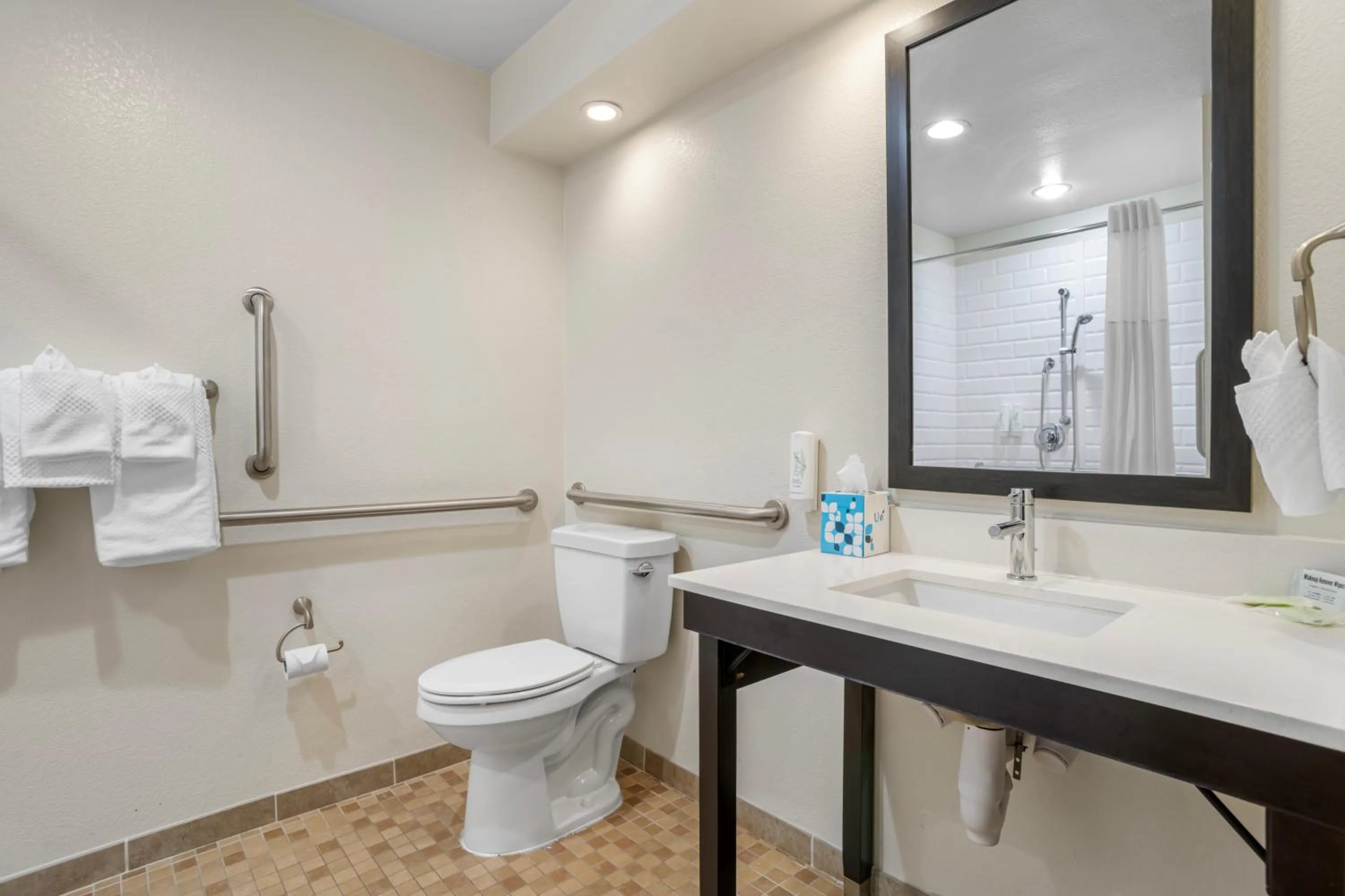 King Room with Accessible Tub - Accessible/Non-Smoking in Sleep Inn & Suites at Concord Mills