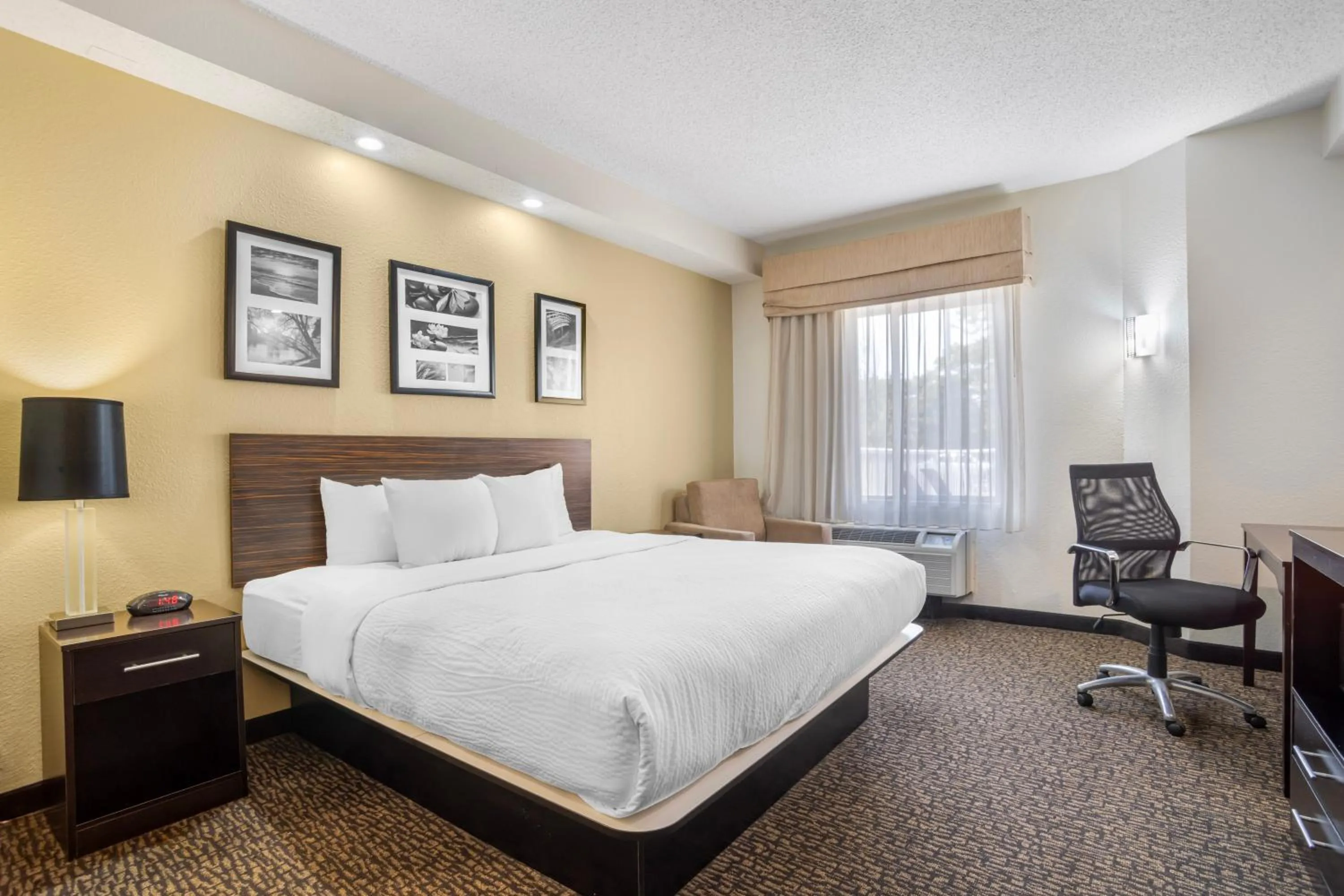 King Suite - Non-Smoking in Sleep Inn & Suites at Concord Mills