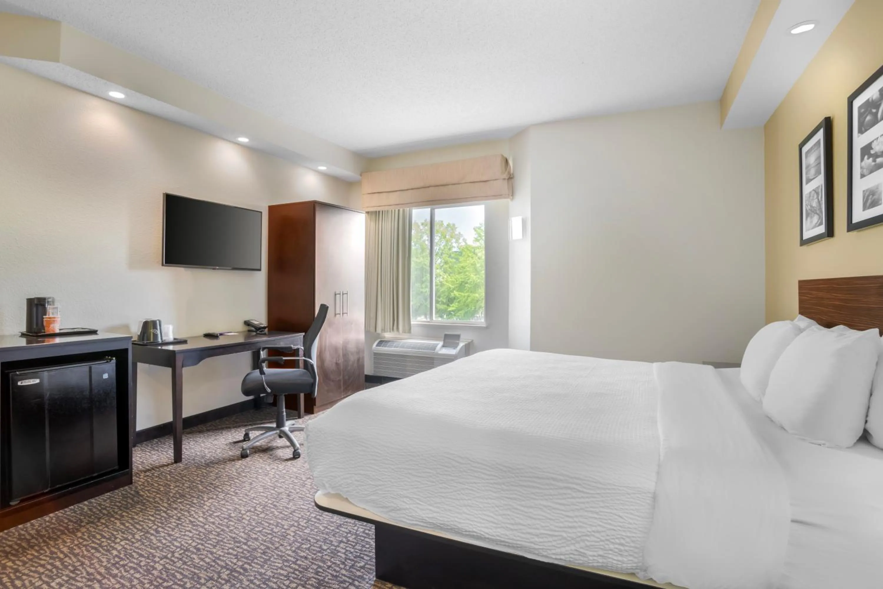 King Room - Non-Smoking in Sleep Inn & Suites at Concord Mills