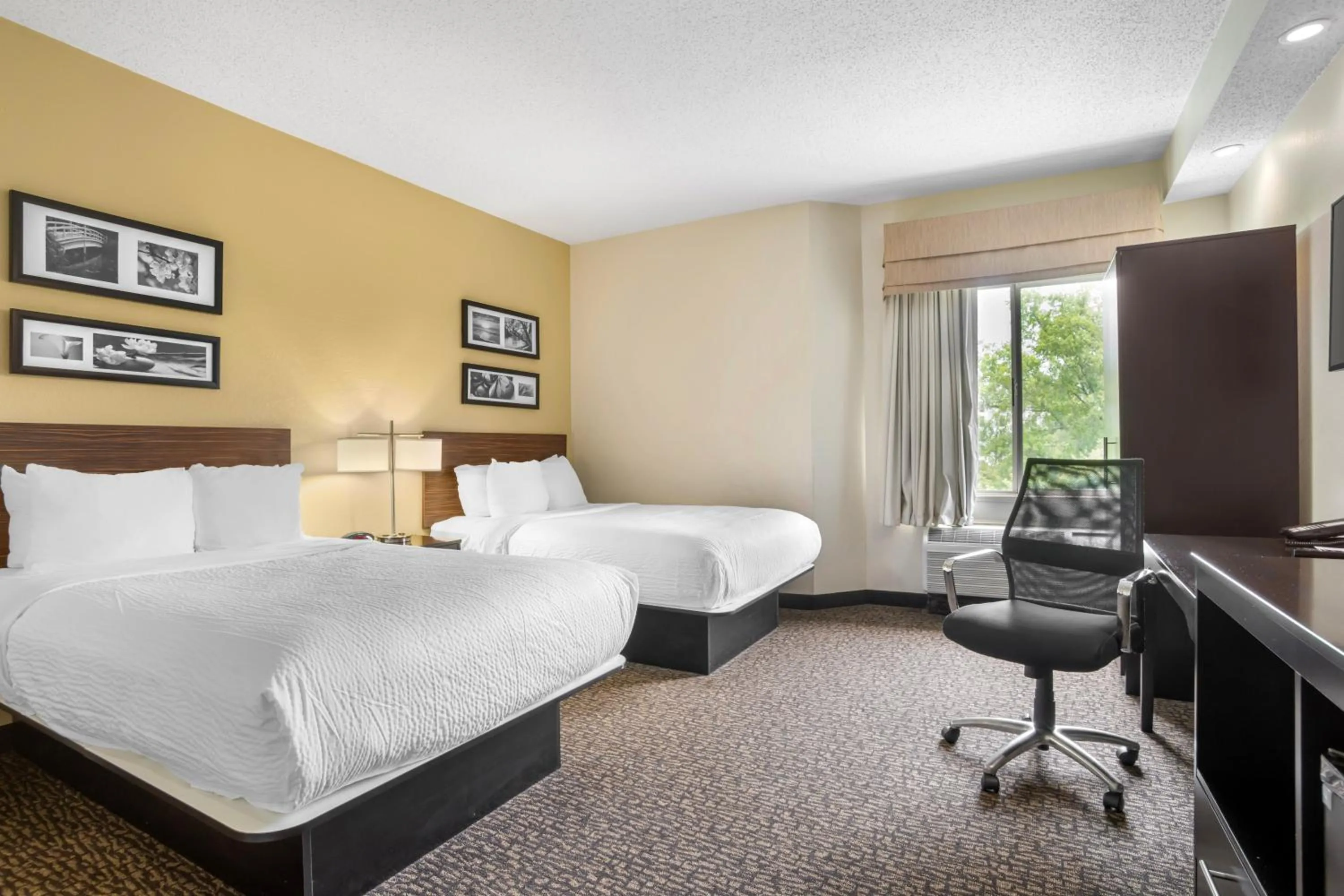 Double Suite with Two Double Beds - Non-Smoking in Sleep Inn & Suites at Concord Mills