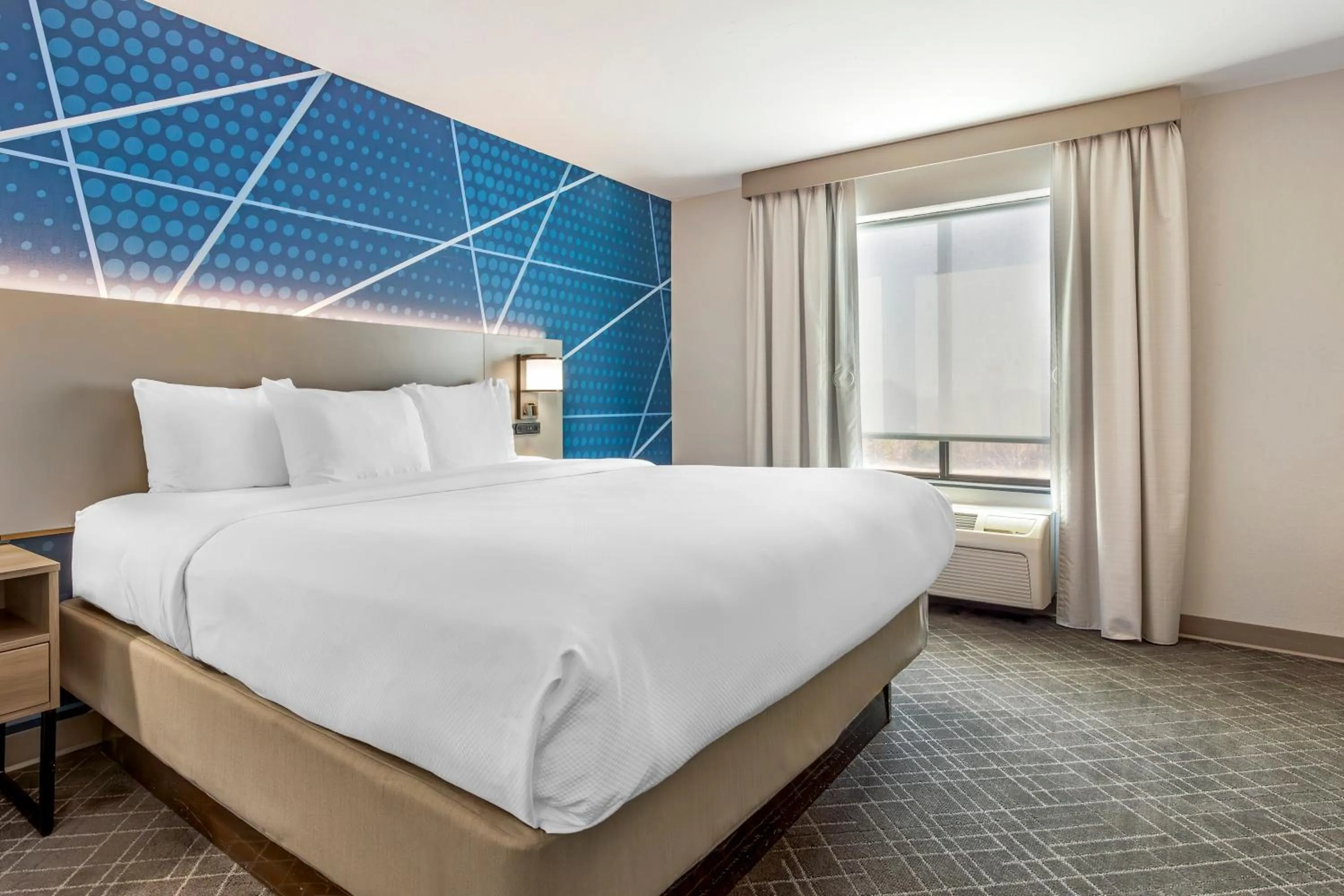 King Suite with Accessible Tub - Accessible/Non-Smoking in Comfort Suites Whitsett - Greensboro East