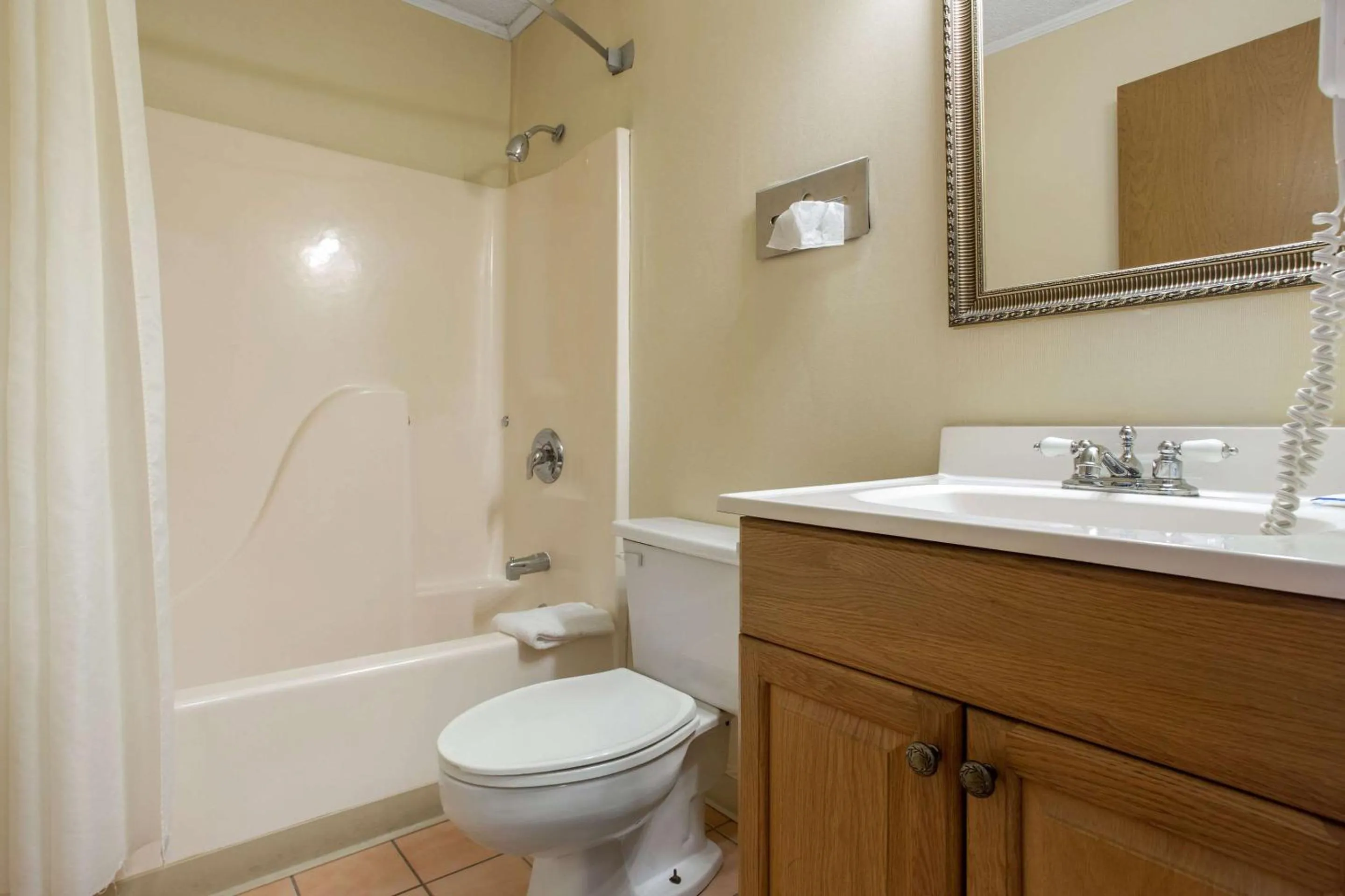 Standard Queen Room - Smoking in Rodeway Inn Asheville