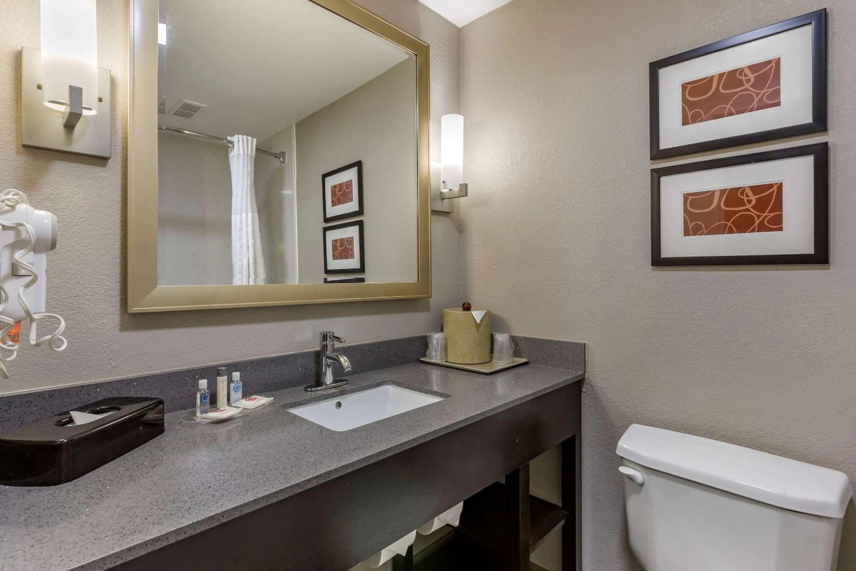 King Suite - Non-Smoking in Comfort Suites Pineville - Ballantyne Area