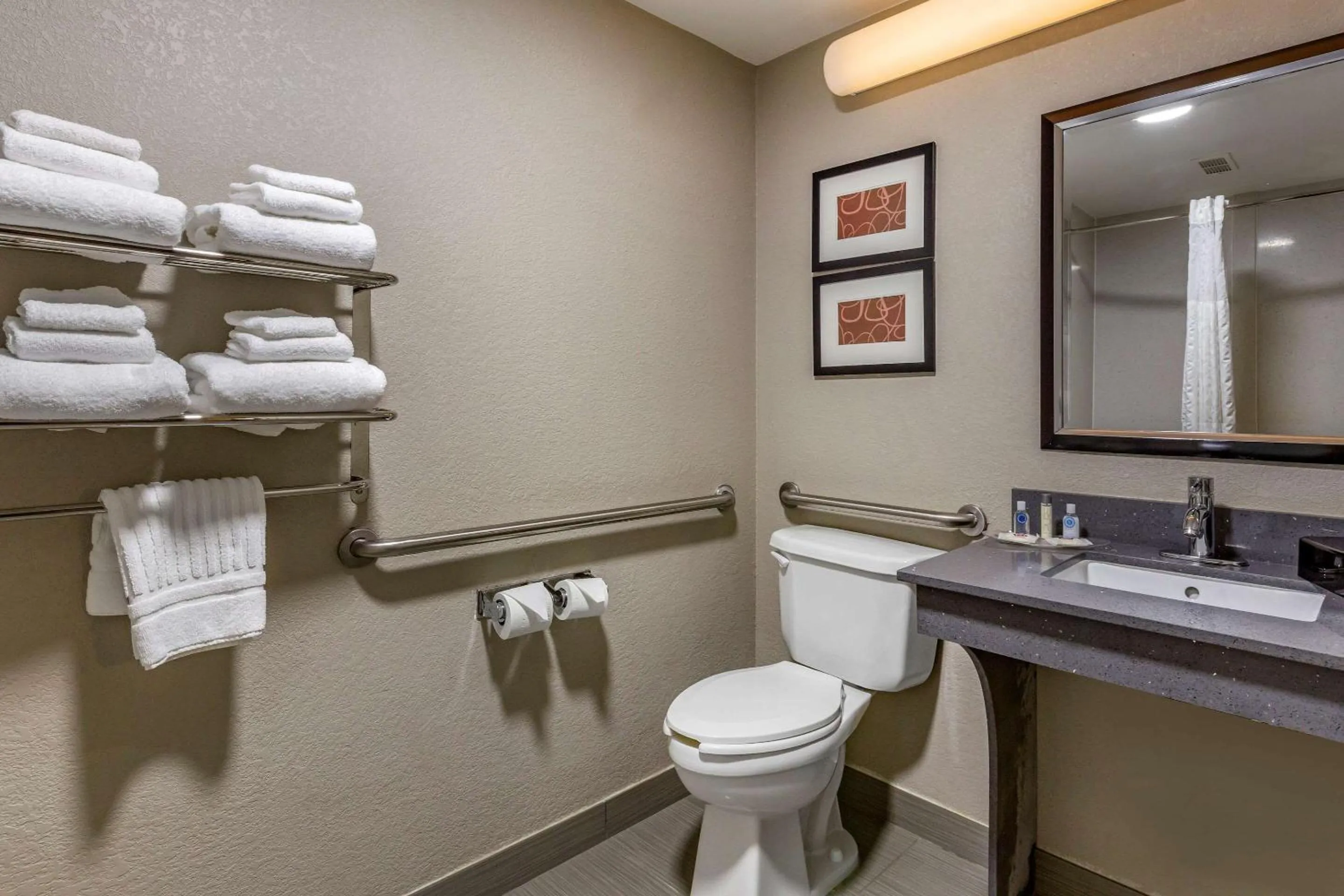 King Suite with Accessible Tub - Accessible/Non-Smoking in Comfort Suites Pineville - Ballantyne Area