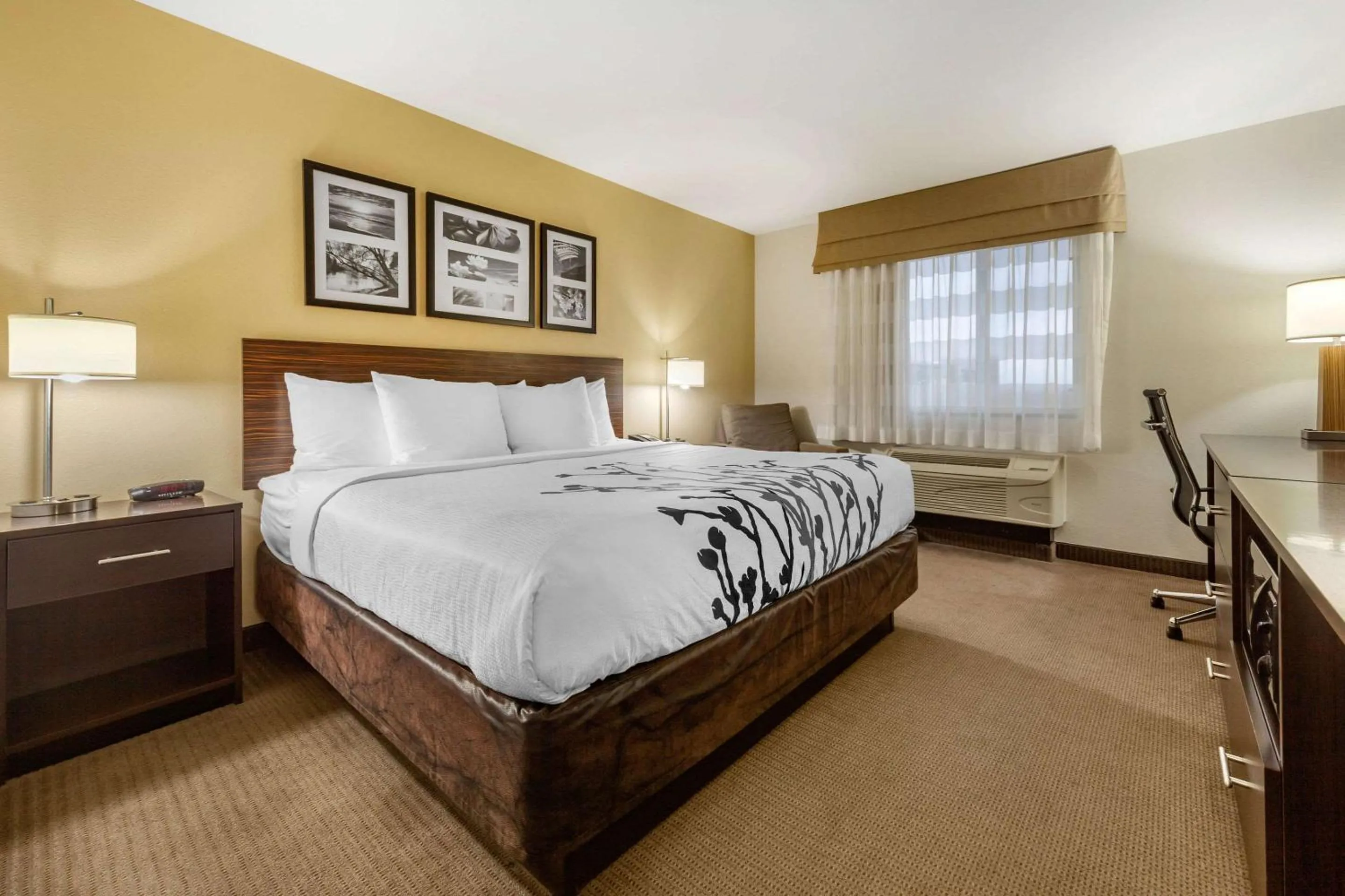 King Room - Non-Smoking in Sleep Inn & Suites Grand Forks Near Alerus Center