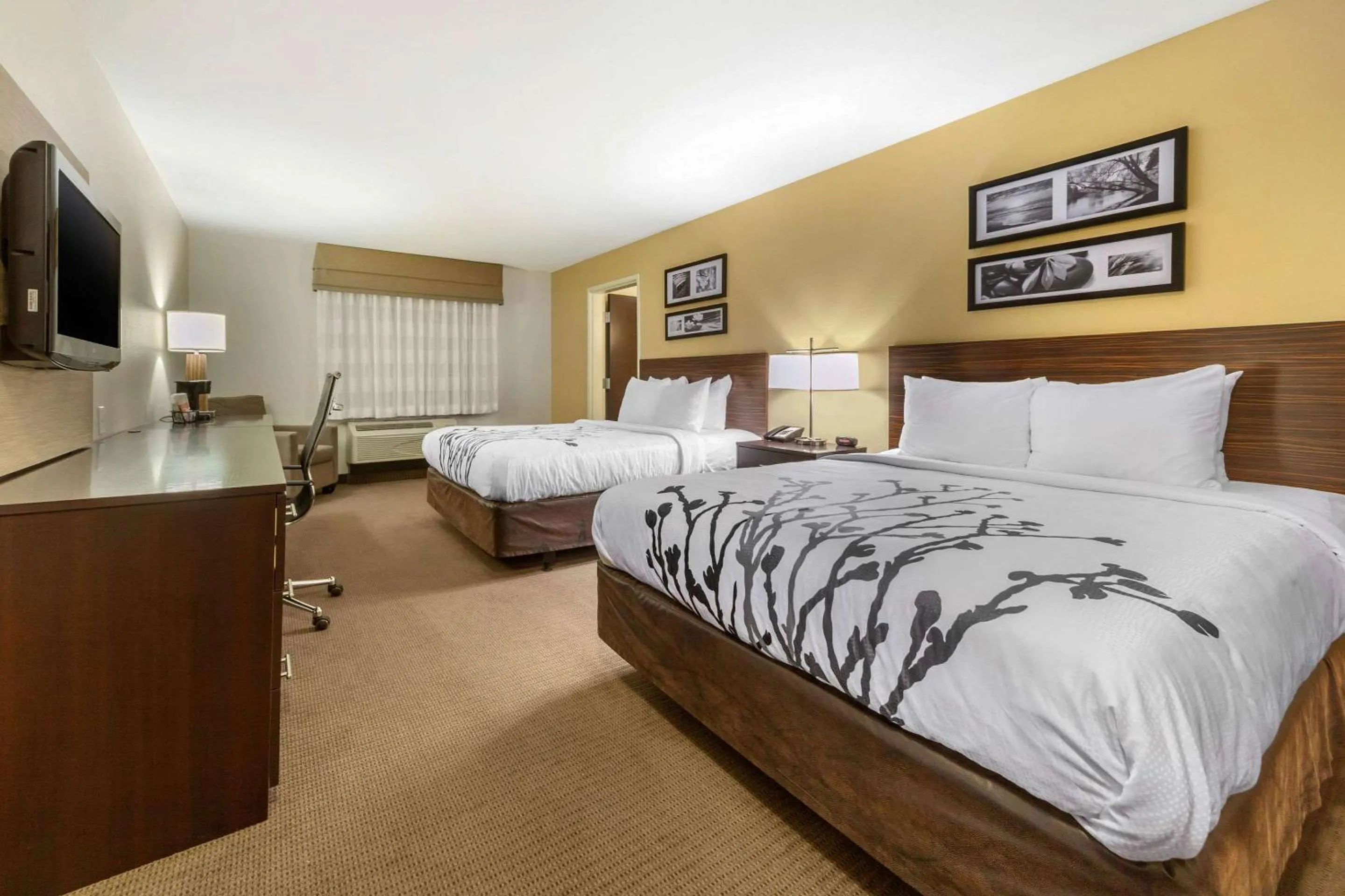 Queen Room with Two Queen Beds - Accessible/Non-Smoking  in Sleep Inn & Suites Grand Forks Near Alerus Center