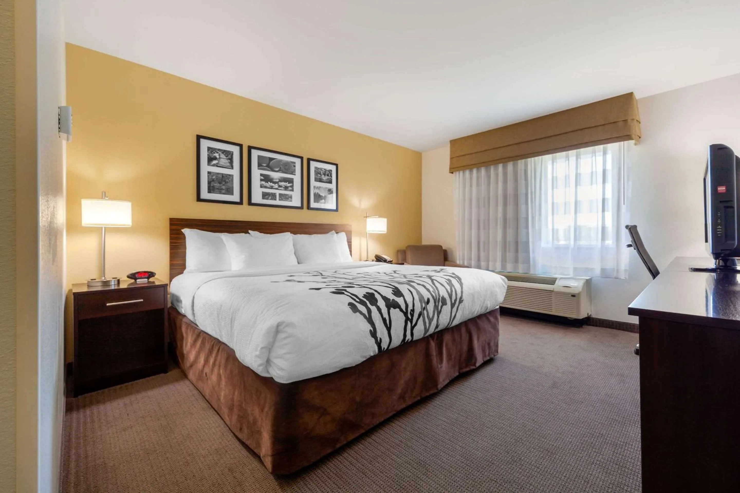 Standard King Room - Non-Smoking  in Sleep Inn & Suites Bismarck I-94