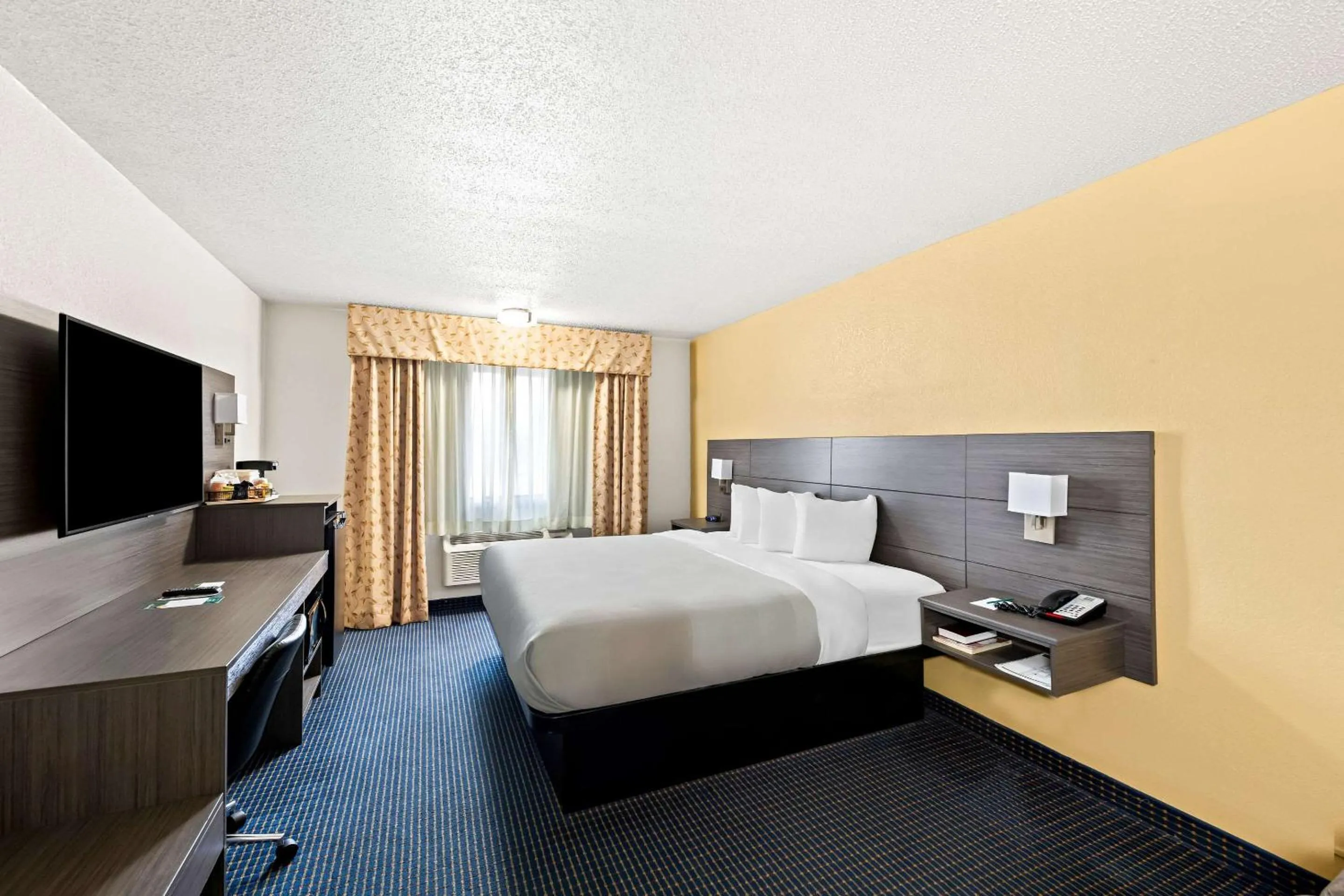 Standard King Room - Non-Smoking  in Quality Inn