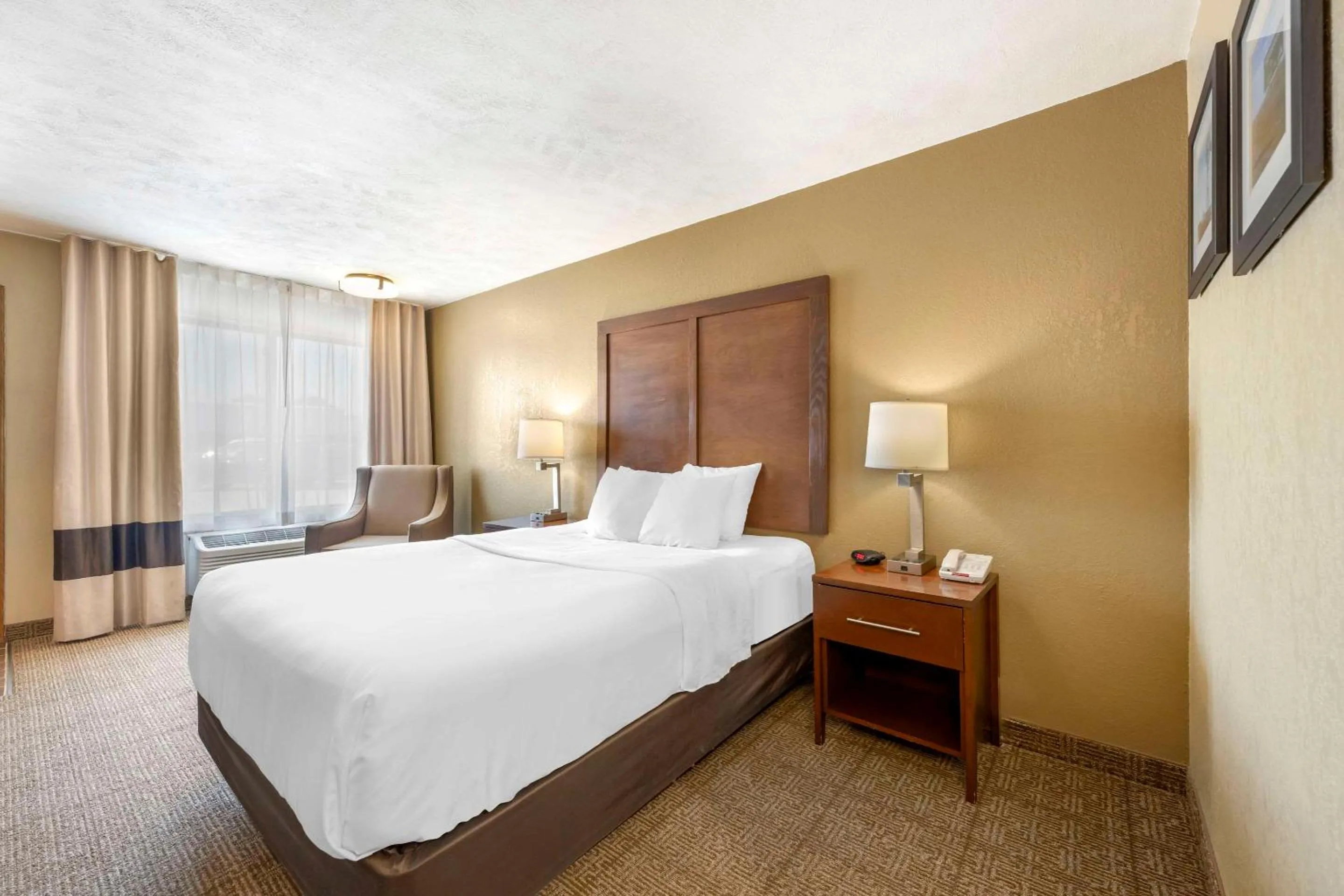 Queen Room - Non-Smoking in Comfort Inn Lexington