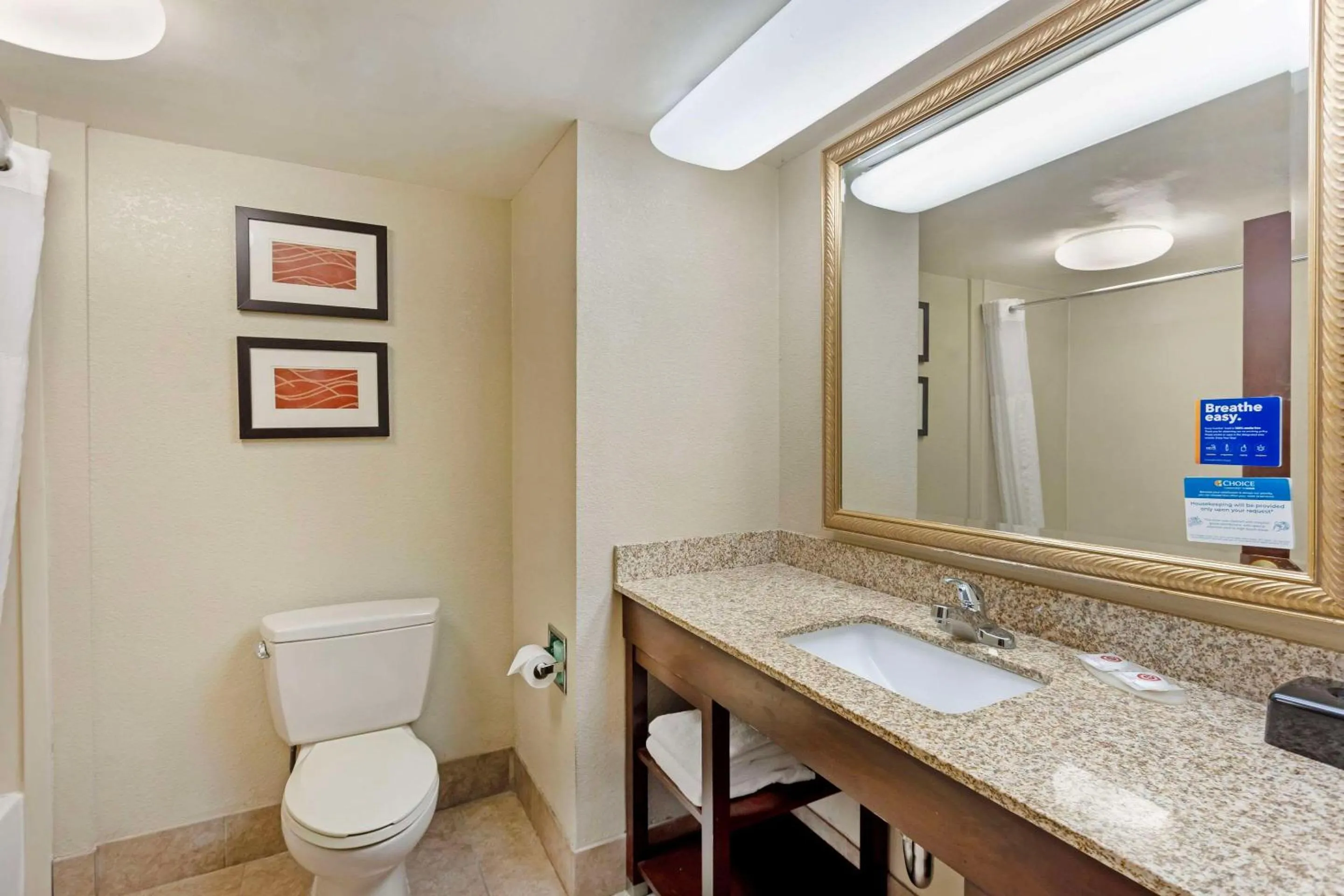 Efficiency King Suite with Sofabed  in Comfort Inn & Suites Carneys Point