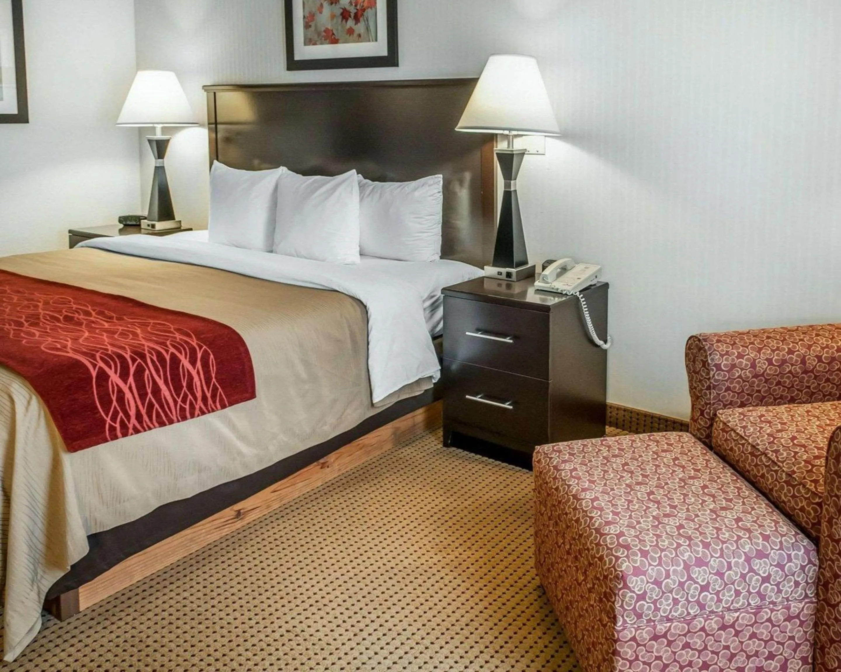 Superior King Room - Non-Smoking in Quality Inn & Suites Farmington