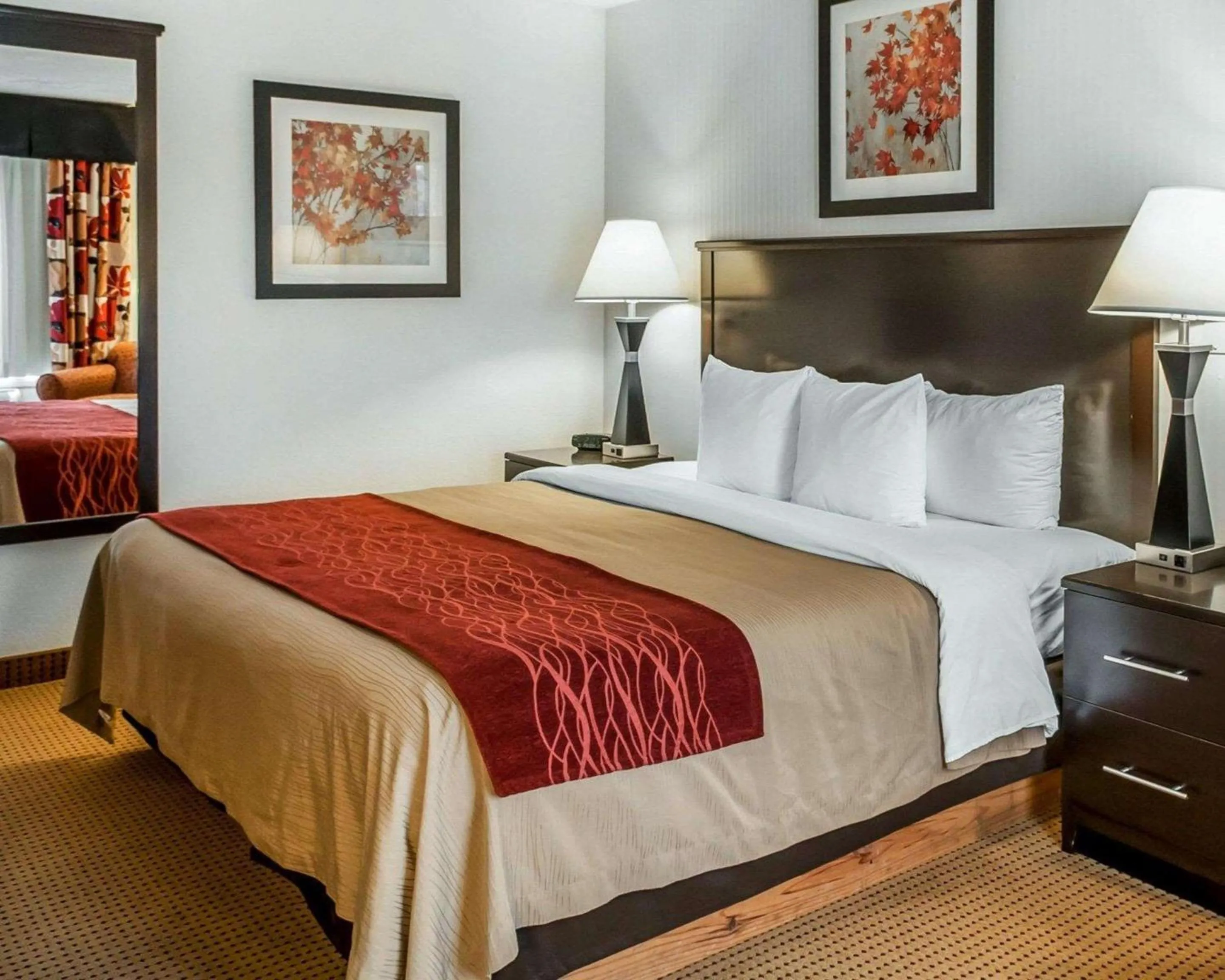 King Room - Non-Smoking in Quality Inn & Suites Farmington