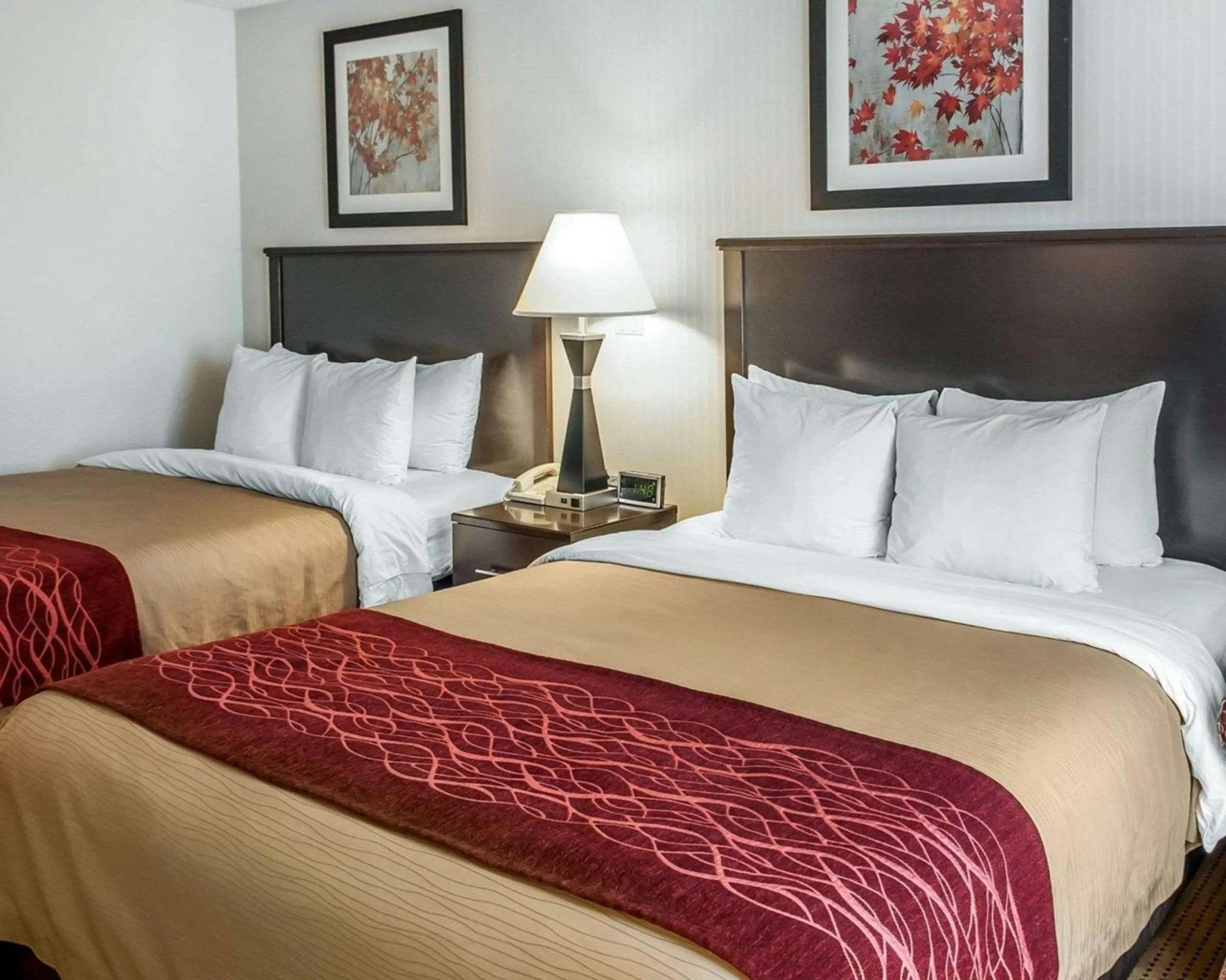 Queen Room with Two Queen Beds - Non-Smoking in Quality Inn & Suites Farmington