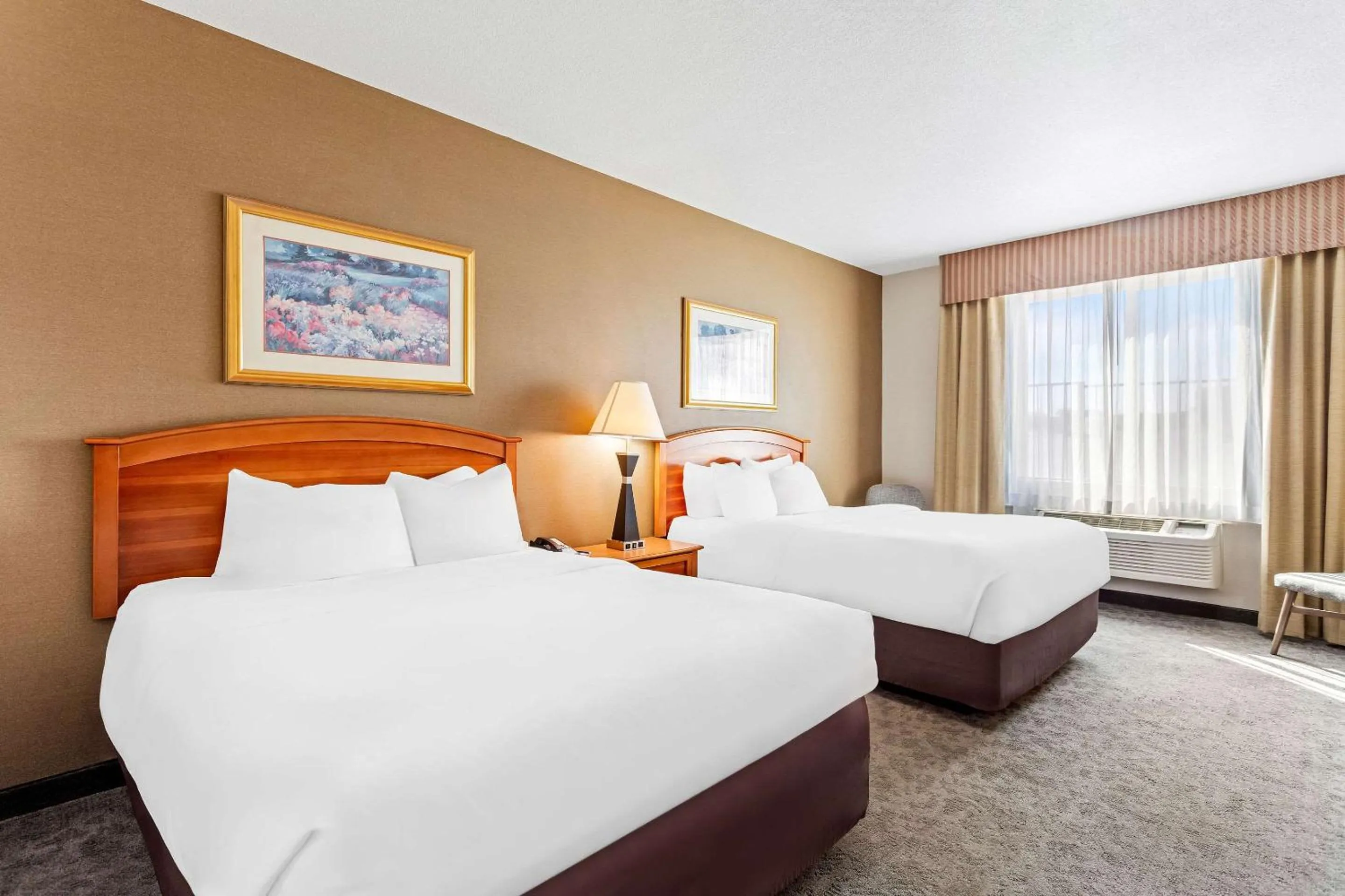 Standard Queen Room with Two Queen Beds - Non-Smoking in Comfort Inn & Suites I-25 near Spaceport America